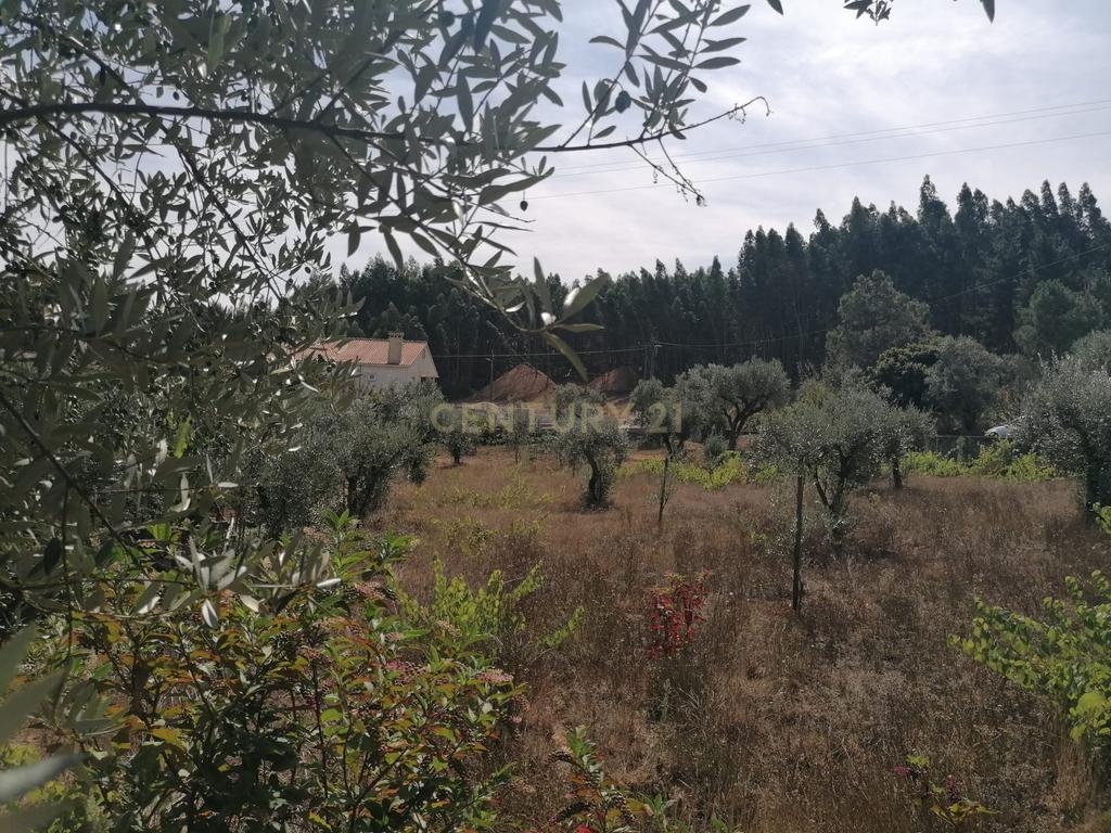 TERRENO COM 920 M2 - Image 6