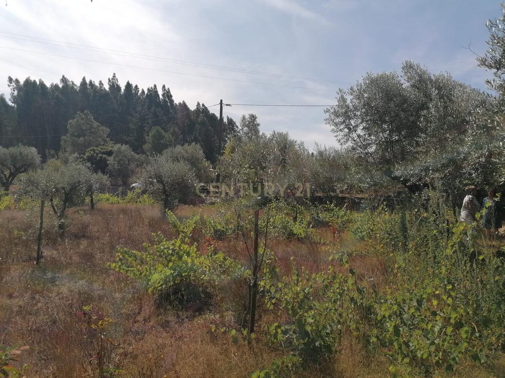 TERRENO COM 920 M2 - Image 5