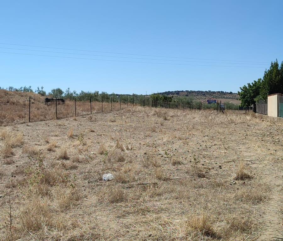 undefined - Image 5