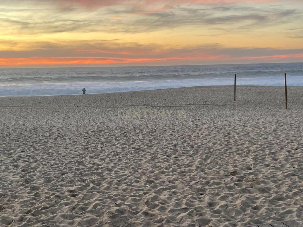 Terreno urbano em Melides com uma moradia e um anexo com 182,44m2 em 1.718m2 de terreno - um verdadeiro Oásis no campo e perto da praia - Image 30