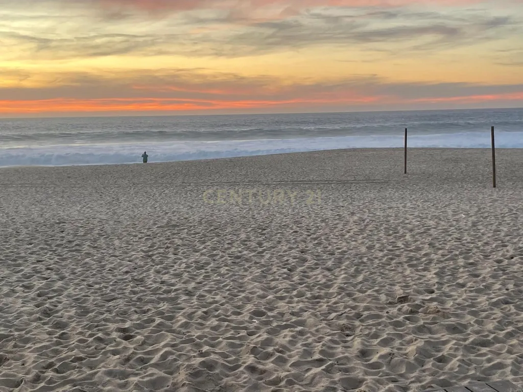 Terreno urbano em Melides com uma moradia e um anexo com 182,44m2 em 1.718m2 de terreno - um verdadeiro Oásis no campo e perto da praia - Image 30