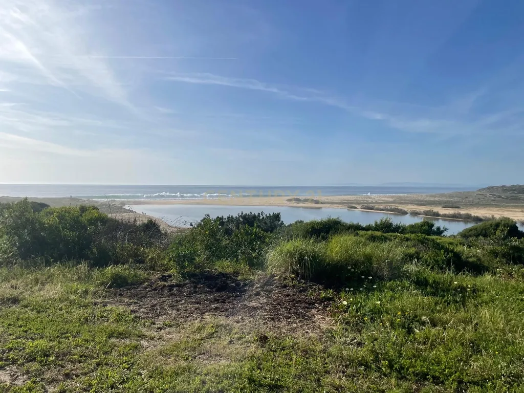 Terreno urbano em Melides com uma moradia e um anexo com 182,44m2 em 1.718m2 de terreno - um verdadeiro Oásis no campo e perto da praia - Image 31