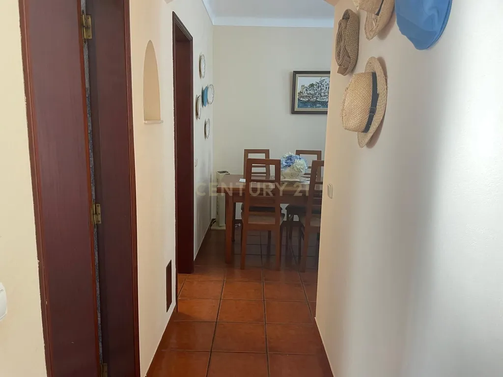 Terreno urbano em Melides com uma moradia e um anexo com 182,44m2 em 1.718m2 de terreno - um verdadeiro Oásis no campo e perto da praia - Image 26