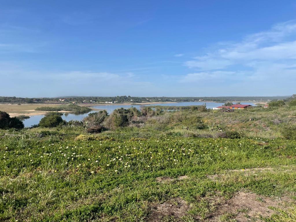 Terreno urbano em Melides com uma moradia e um anexo com 182,44m2 em 1.718m2 de terreno - um verdadeiro Oásis no campo e perto da praia - Image 33