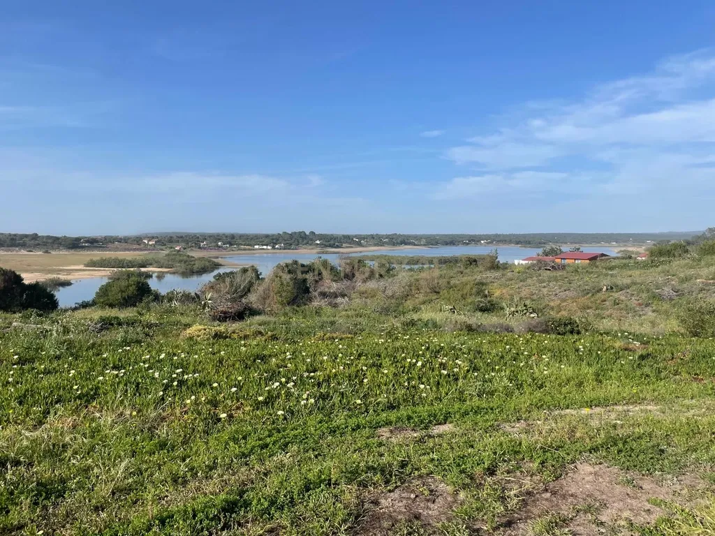 Terreno urbano em Melides com uma moradia e um anexo com 182,44m2 em 1.718m2 de terreno - um verdadeiro Oásis no campo e perto da praia - Image 33