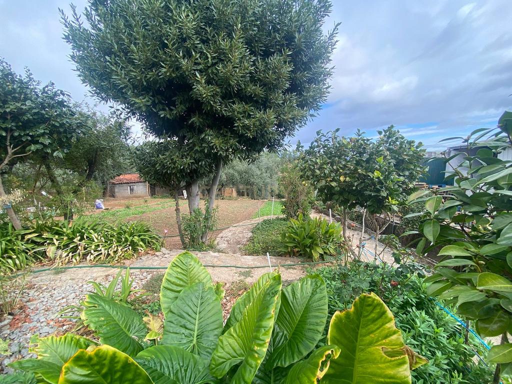 Moradia, Dominguizo, Covilhã - Image 9