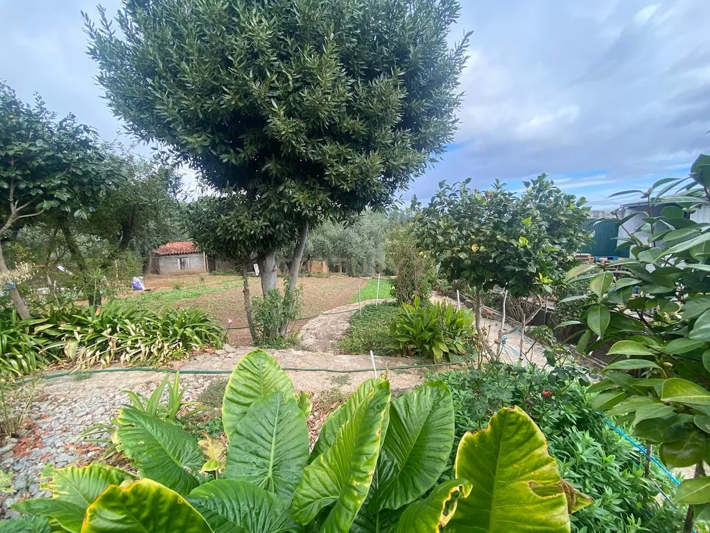 Moradia, Dominguizo, Covilhã - Image 9
