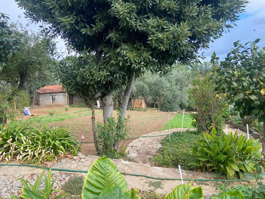 Moradia, Dominguizo, Covilhã - Image 12