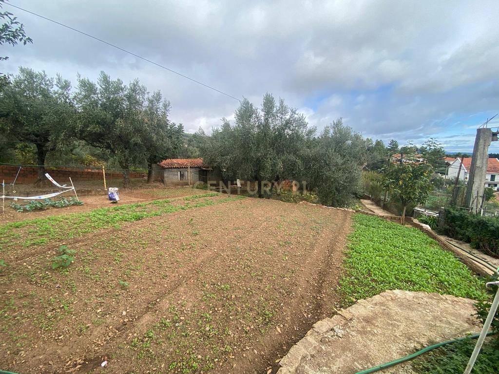 Moradia, Dominguizo, Covilhã - Image 13