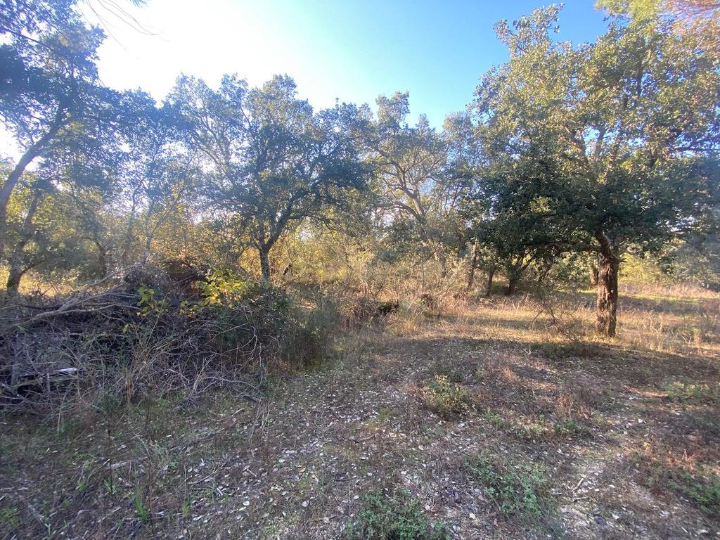 Terreno com 12500 m2 , Tinalhas, Castelo Branco - Image 1