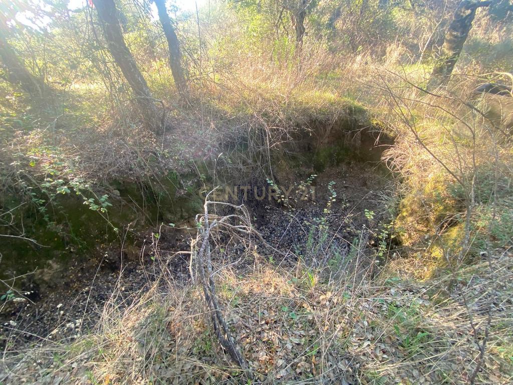 Terreno com 12500 m2 , Tinalhas, Castelo Branco - Image 11