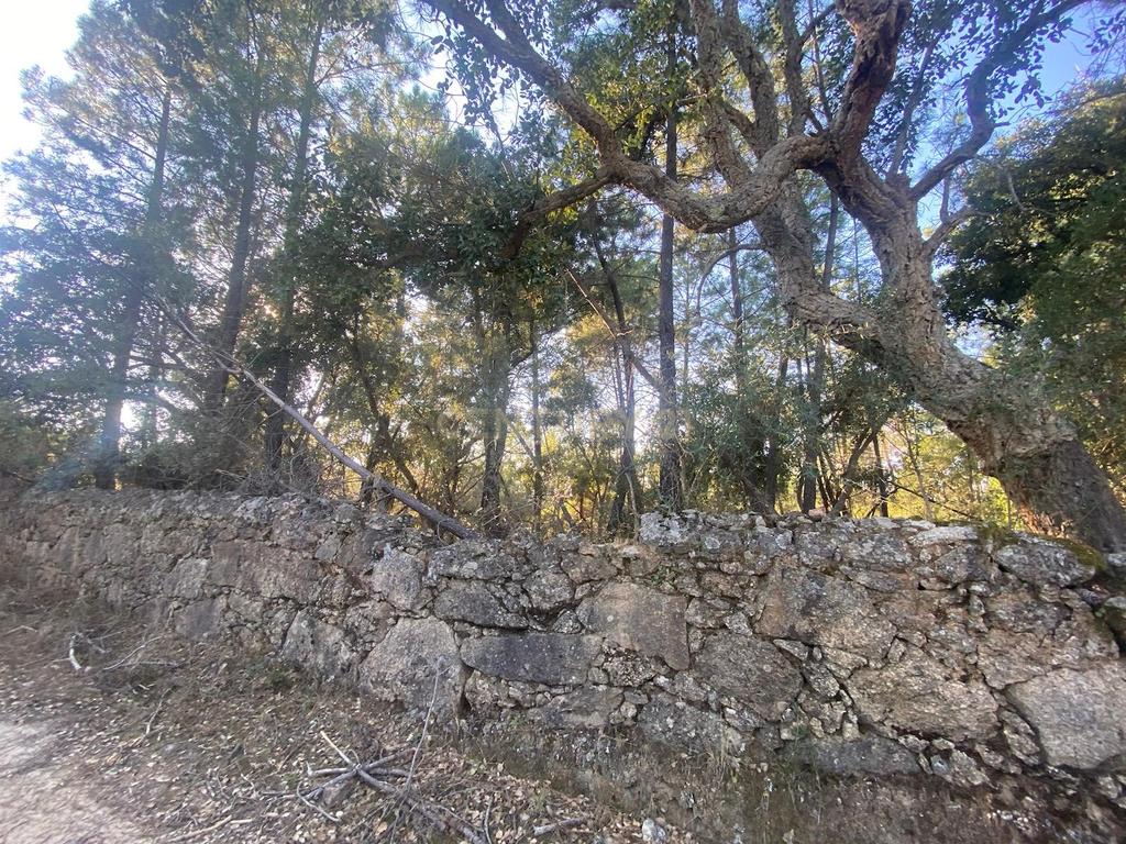 Terreno com 12500 m2 , Tinalhas, Castelo Branco - Image 6