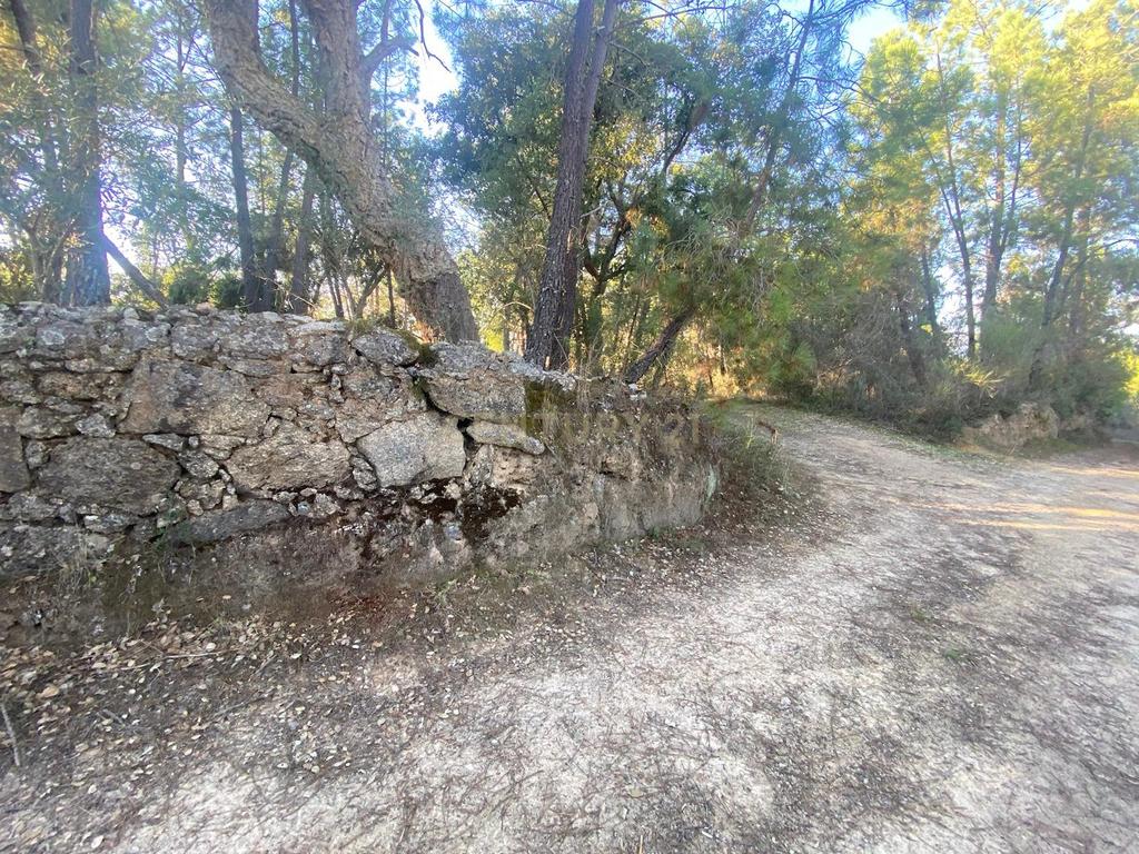 Terreno com 12500 m2 , Tinalhas, Castelo Branco - Image 7