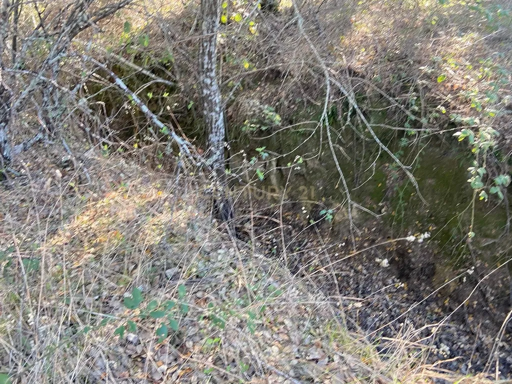 Terreno com 12500 m2 , Tinalhas, Castelo Branco - Image 8