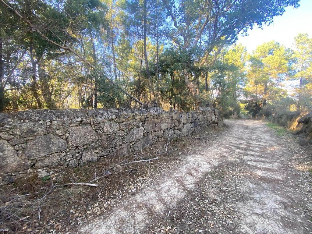 Terreno com 12500 m2 , Tinalhas, Castelo Branco - Image 9