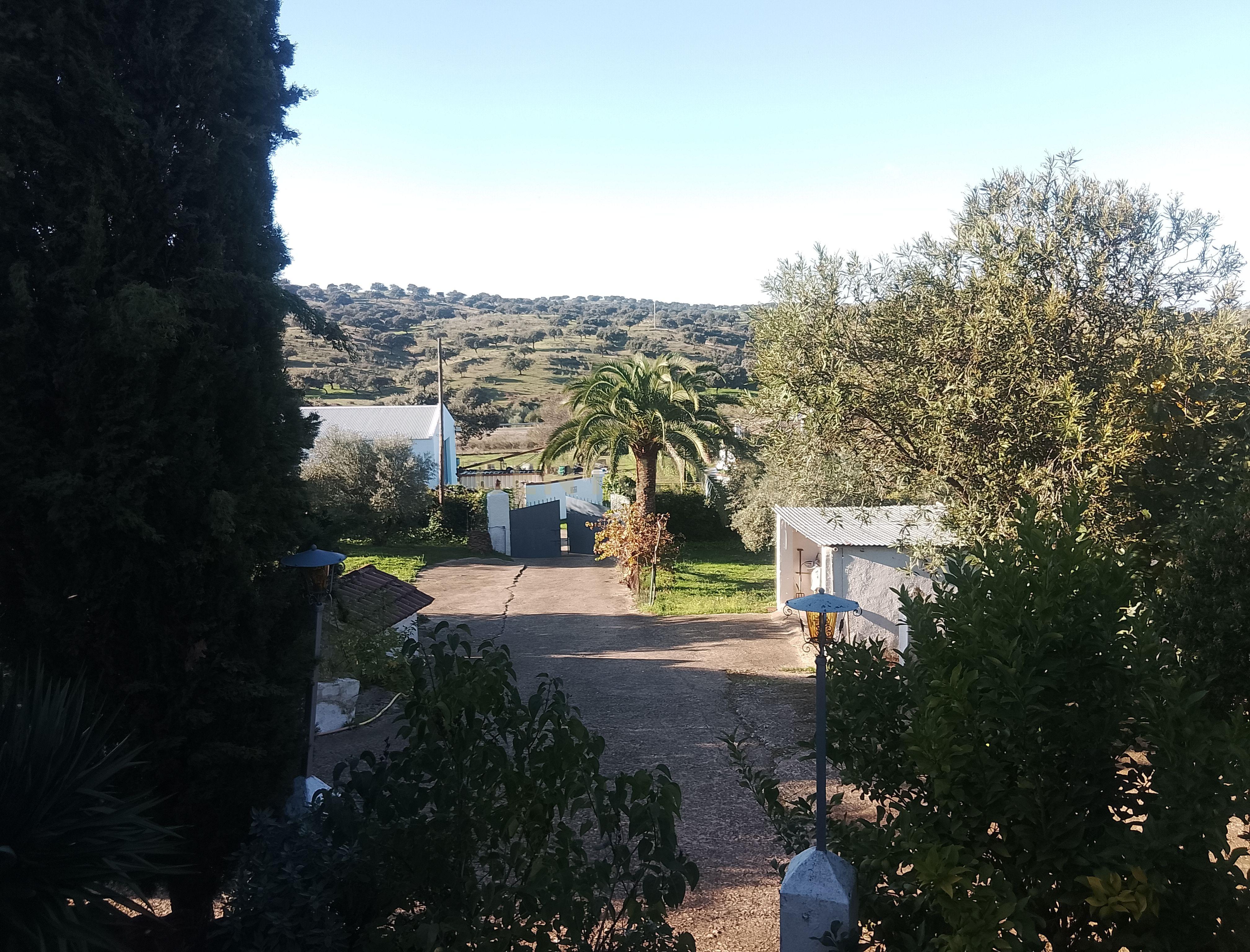 undefined - Image 6