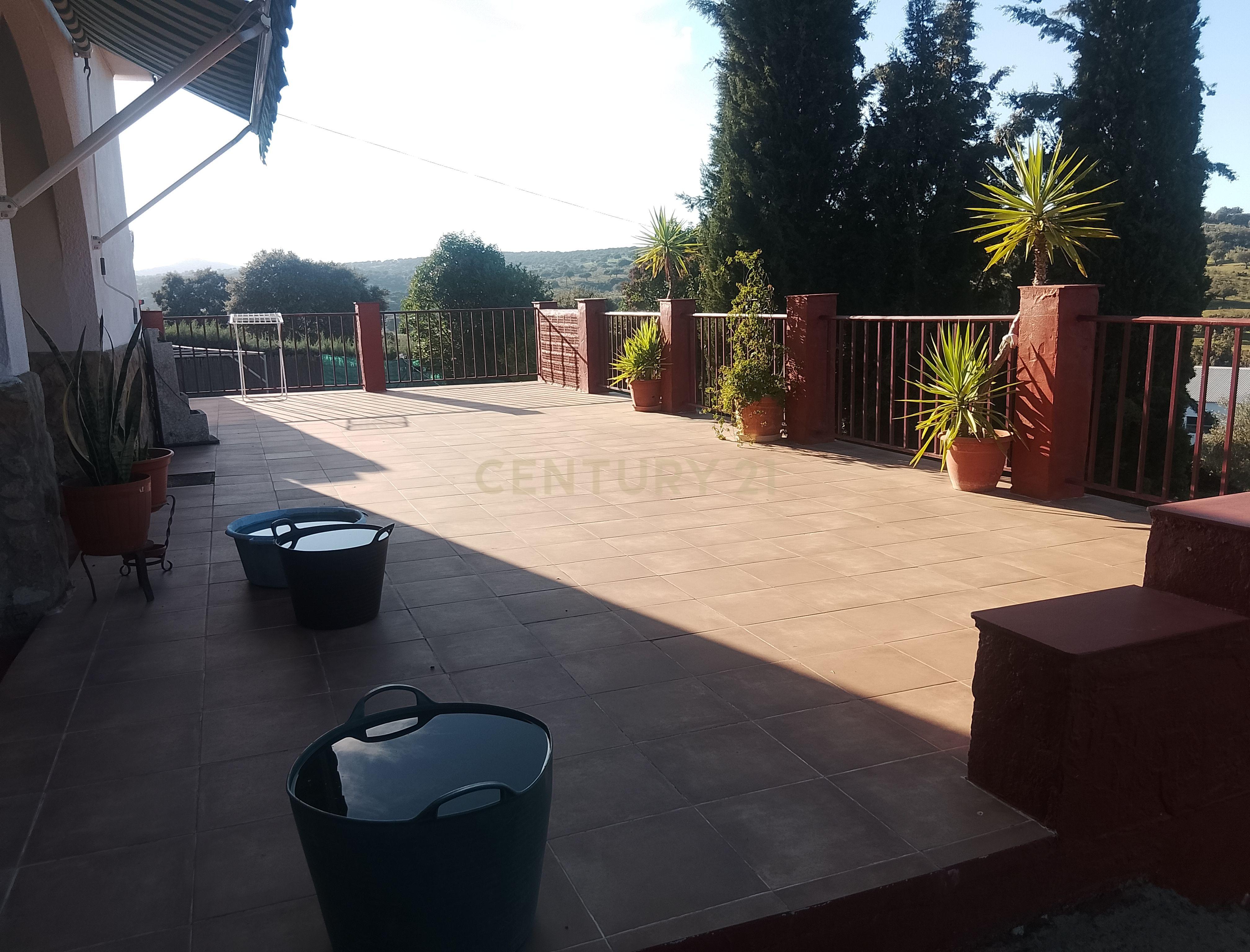 undefined - Image 5
