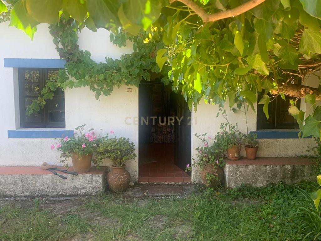 Moradia típica na Serra de Montejunto – Ideal para viver ou investir em turismo rural - Image 4