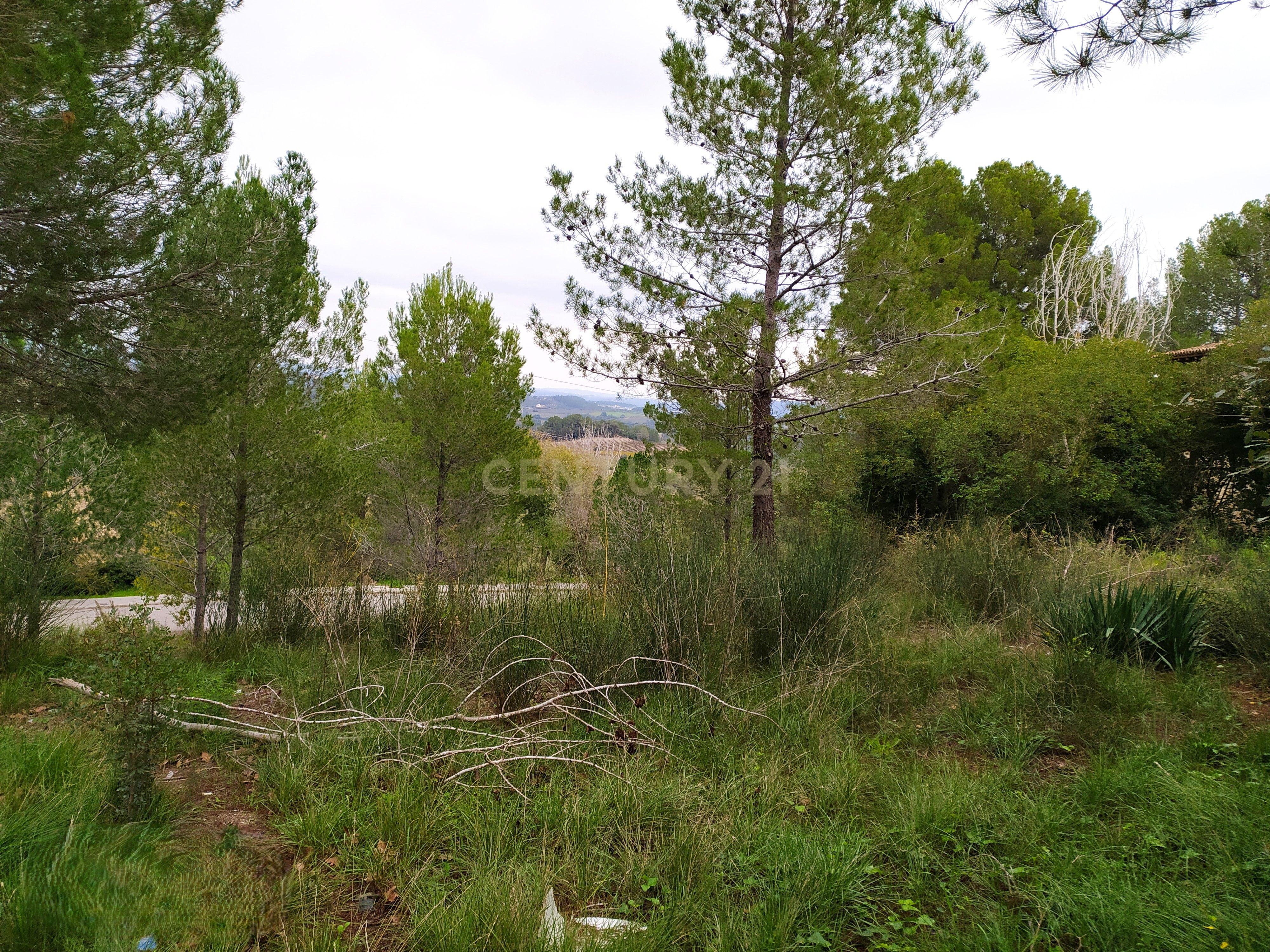 undefined - Image 15