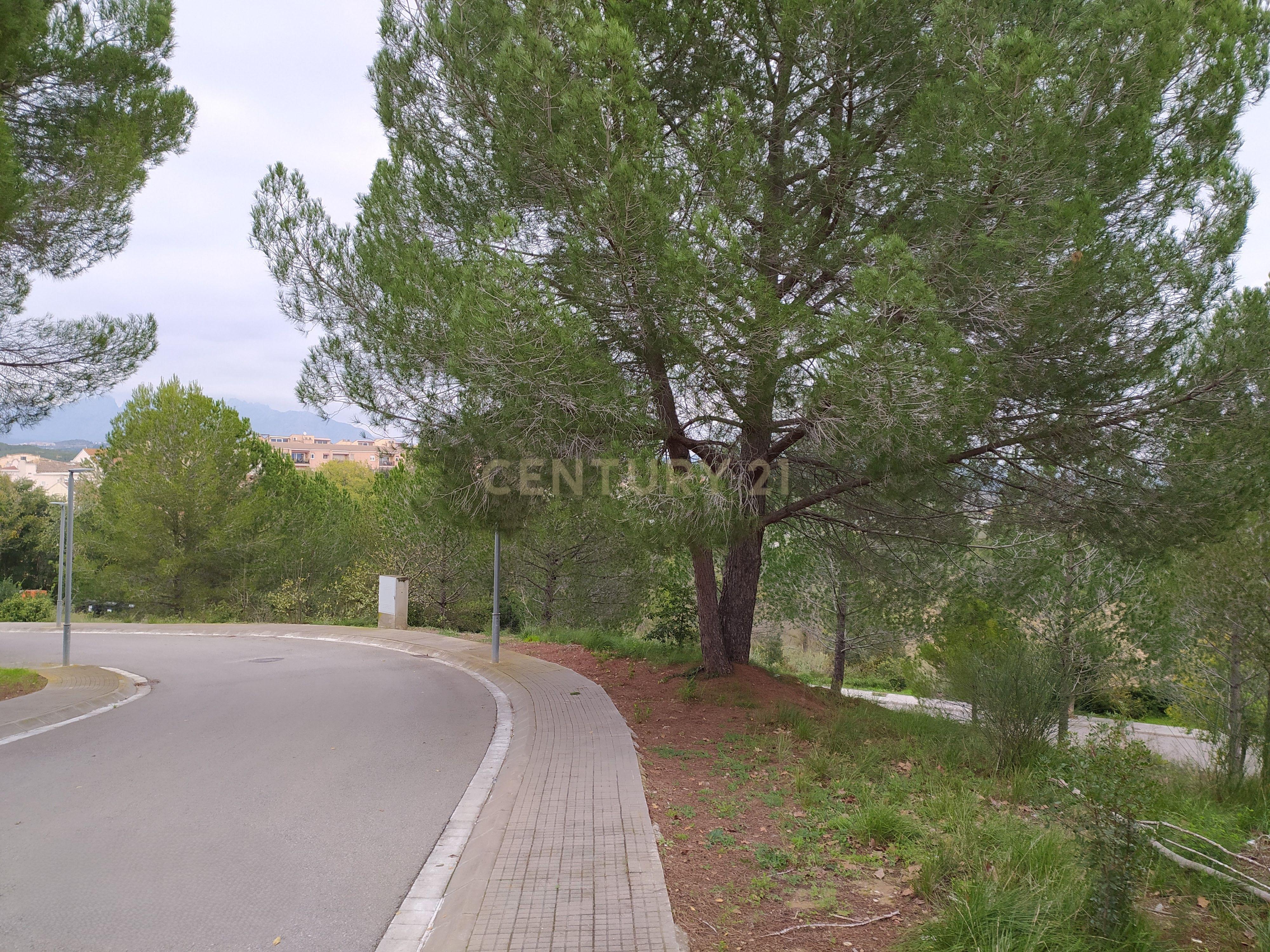 undefined - Image 34