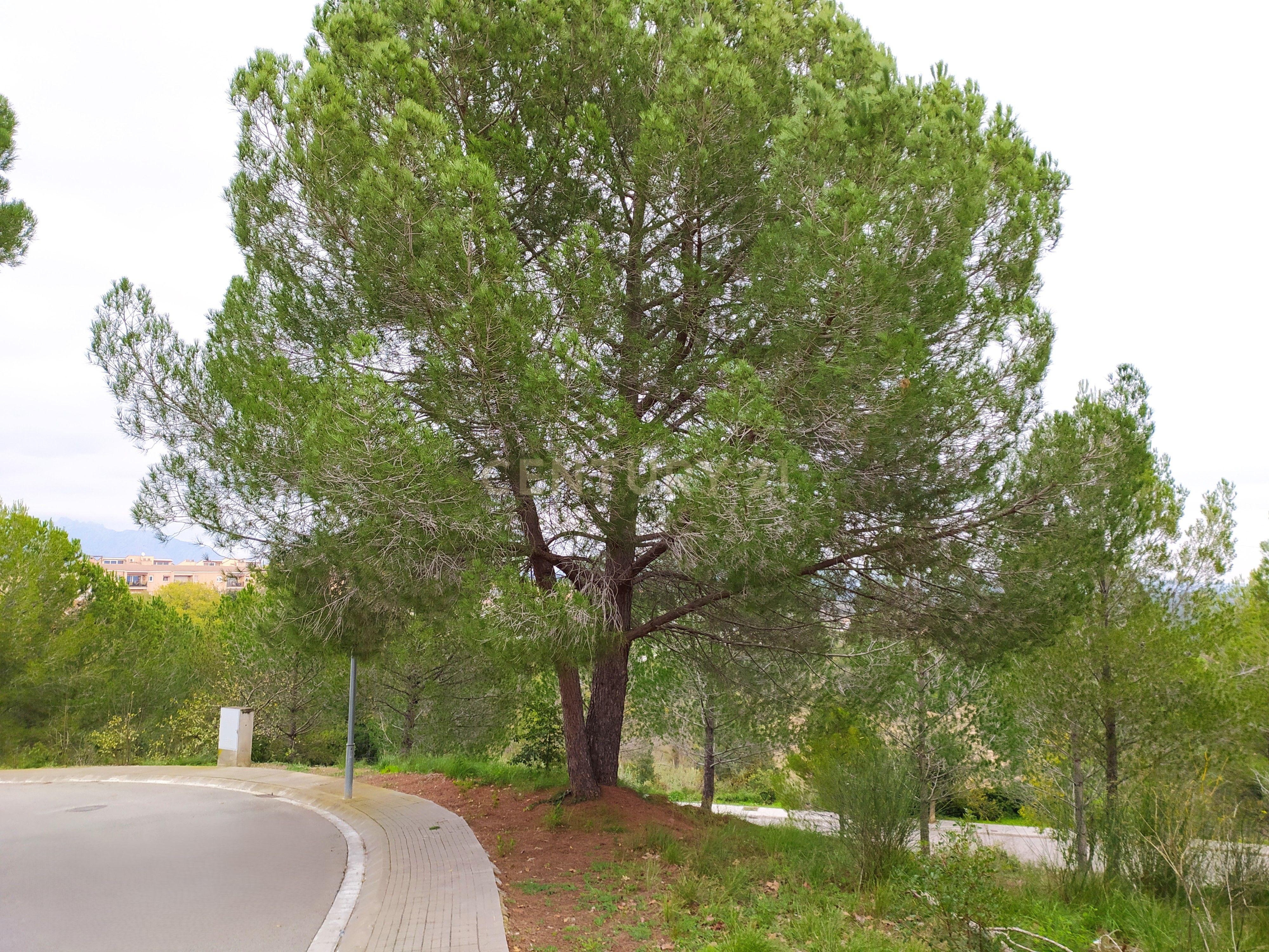 undefined - Image 33