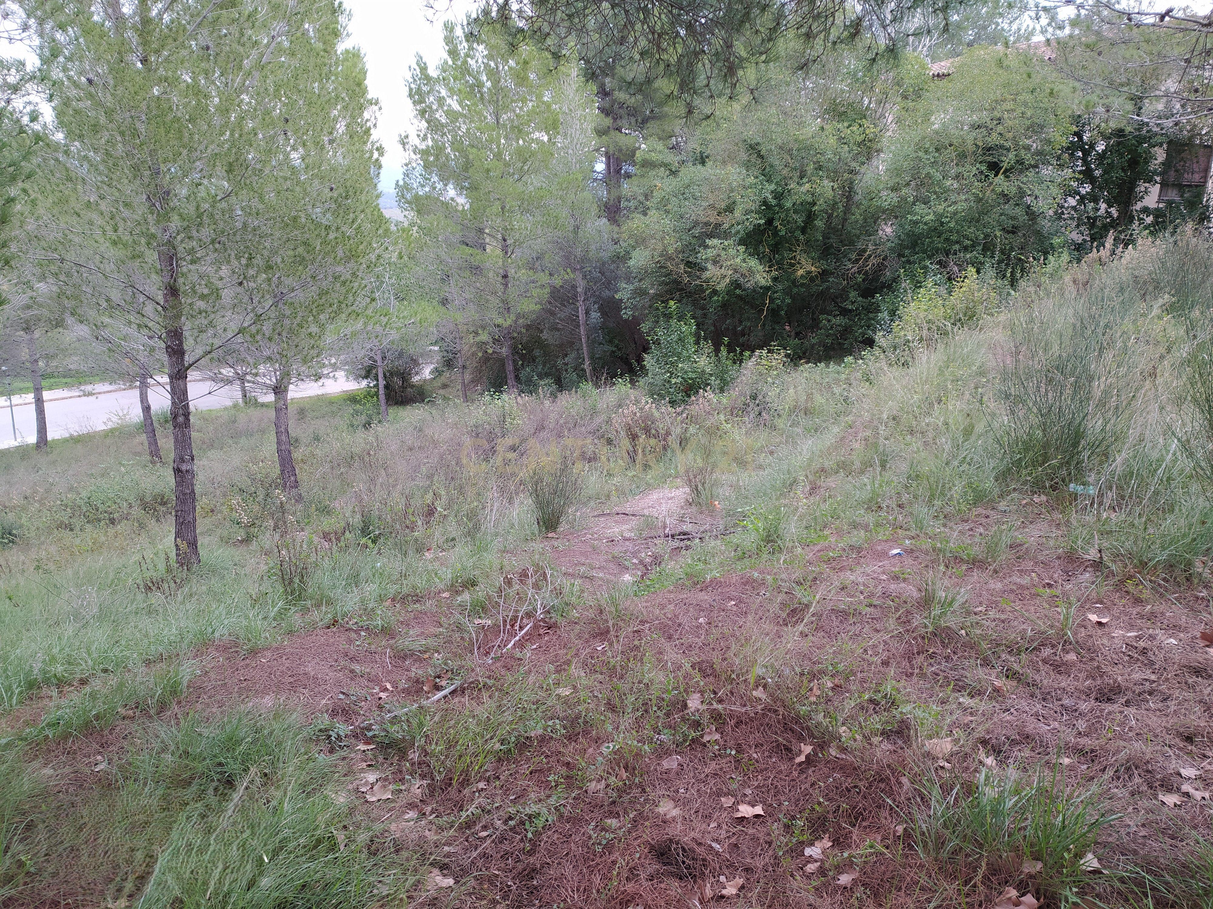 undefined - Image 35