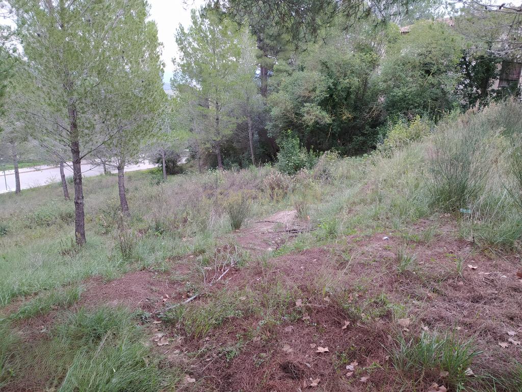 undefined - Image 35