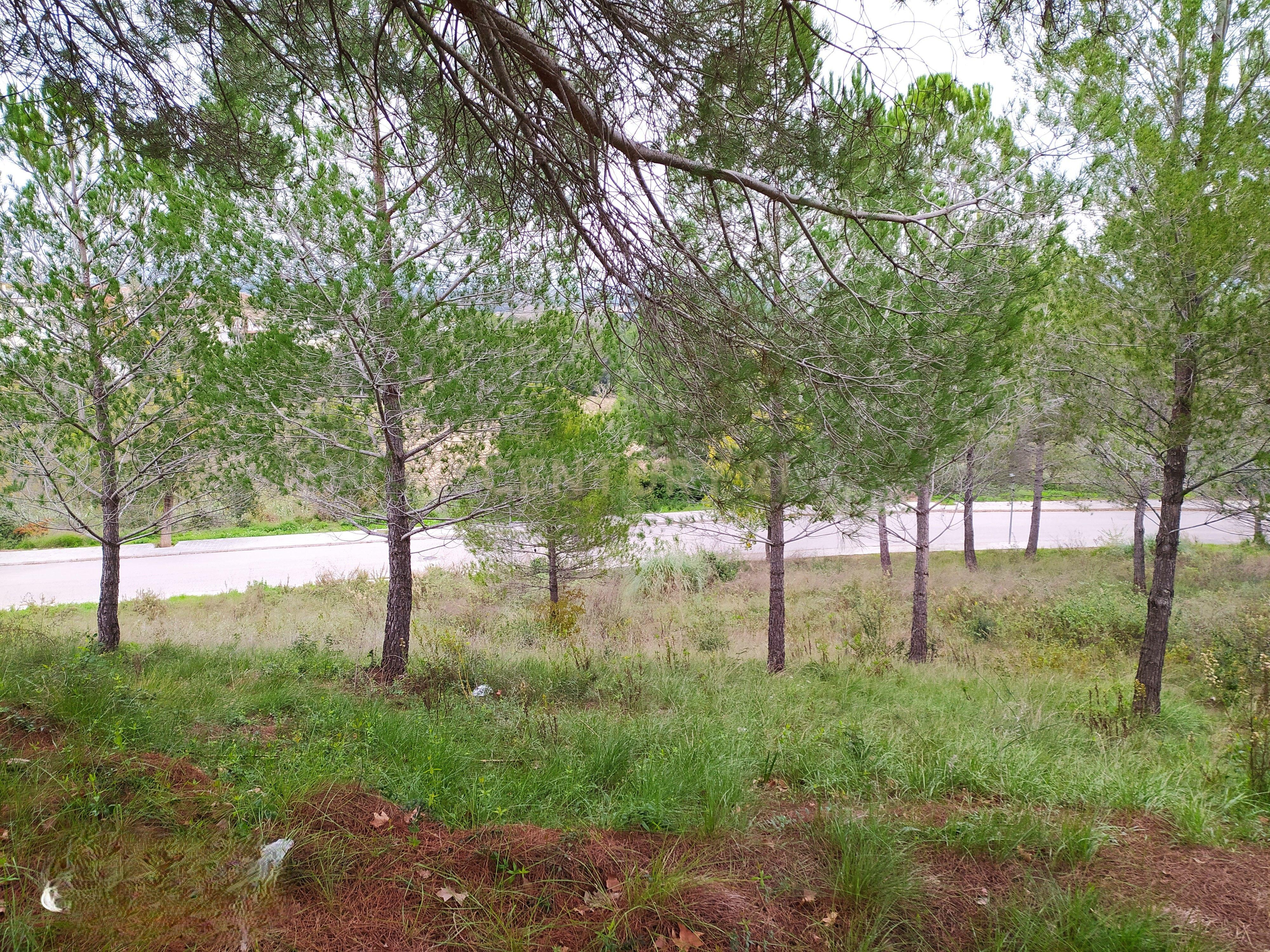 undefined - Image 1