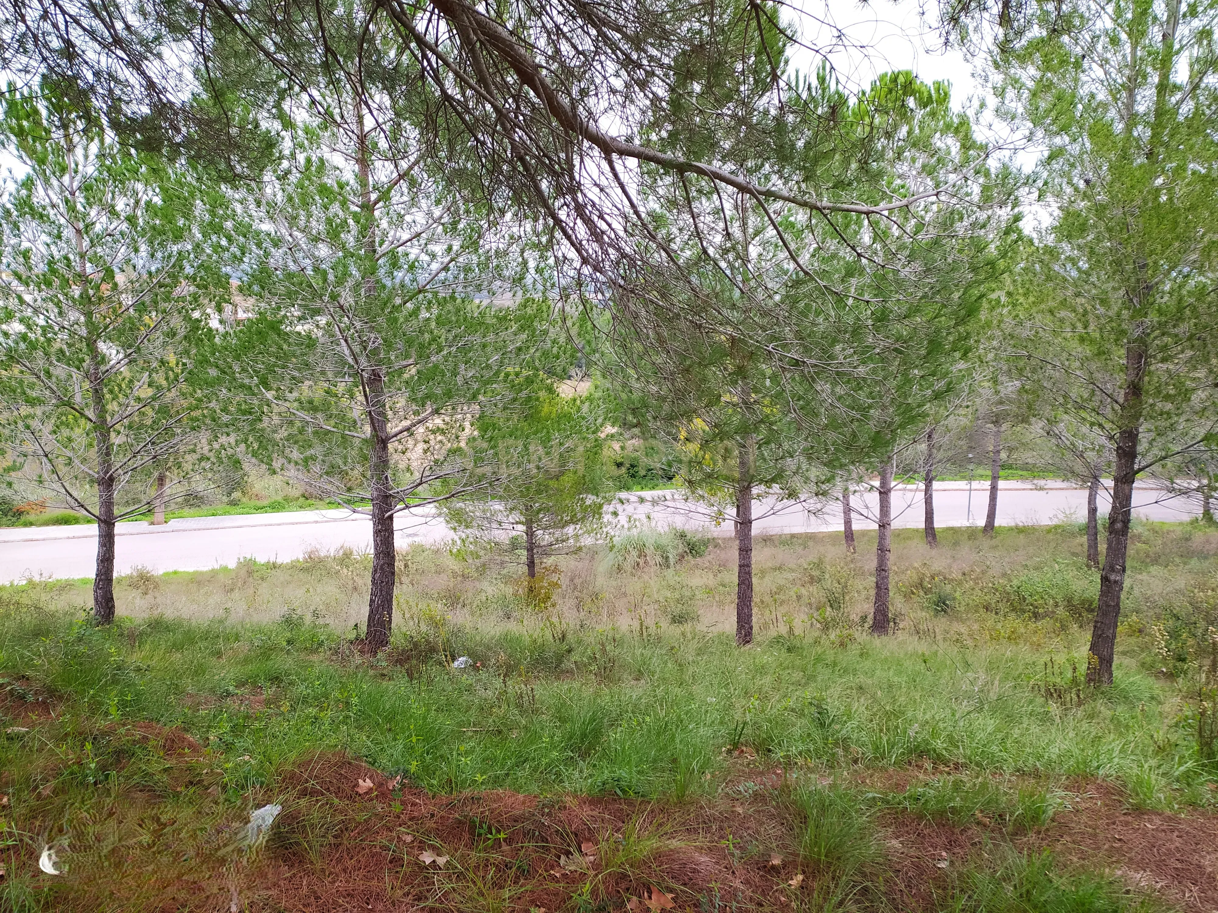 undefined - Image 3