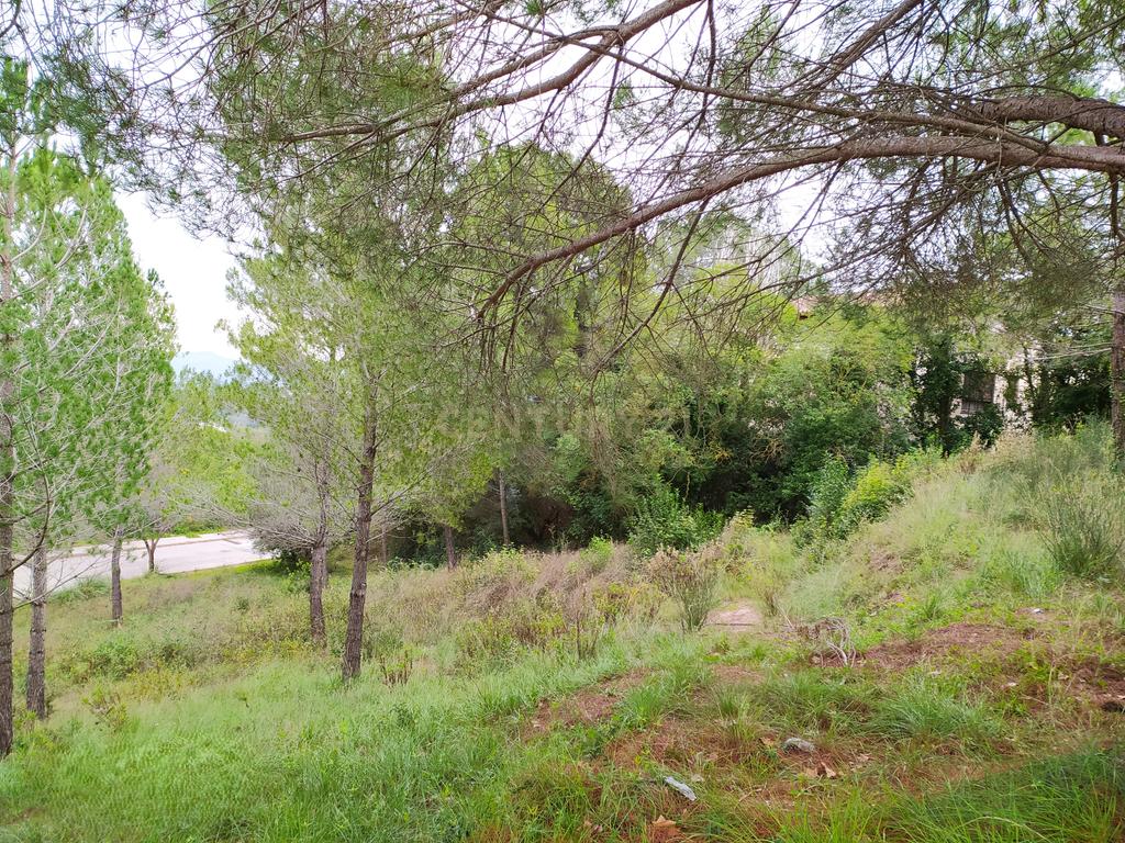 undefined - Image 7