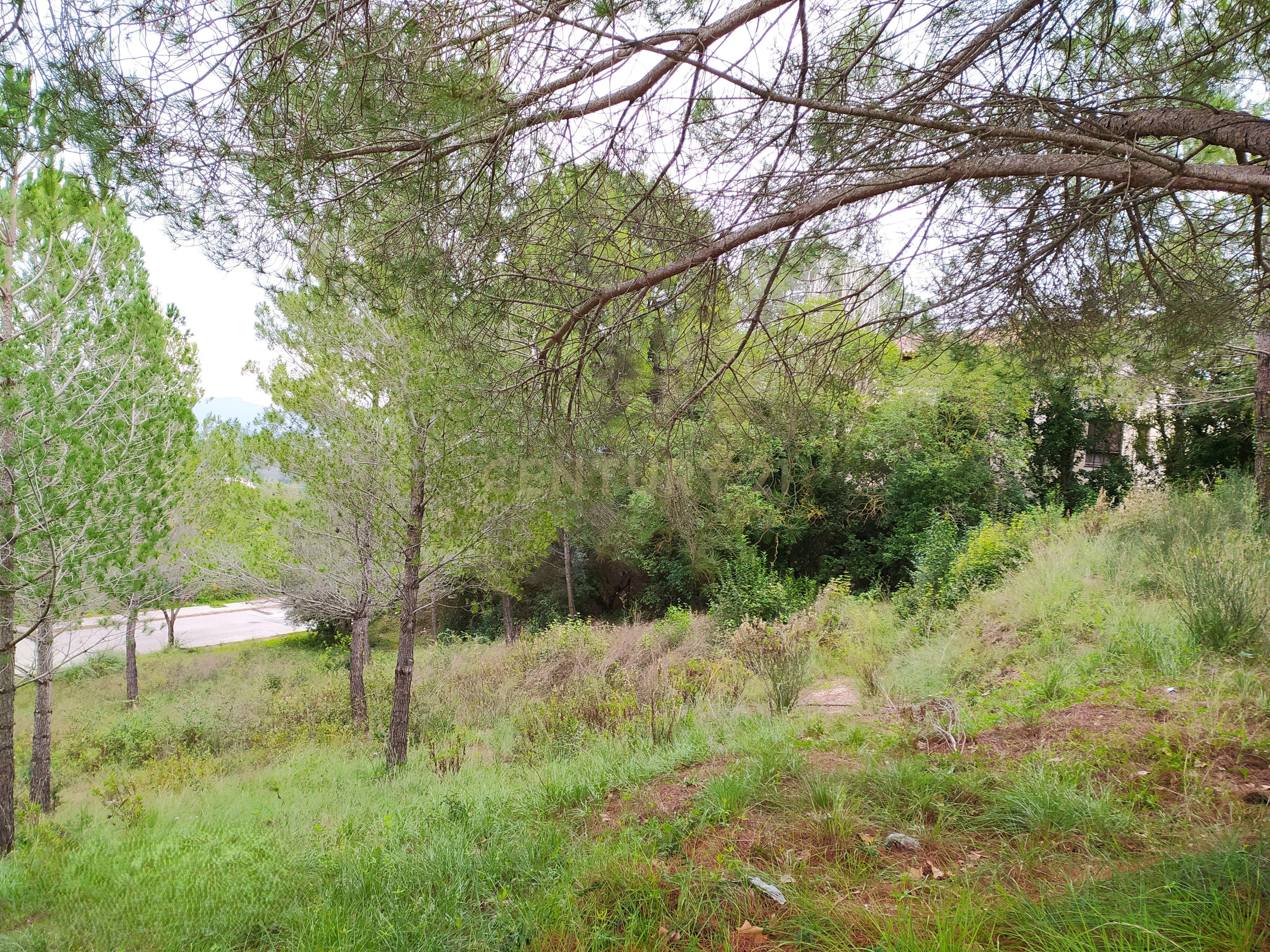 undefined - Image 3