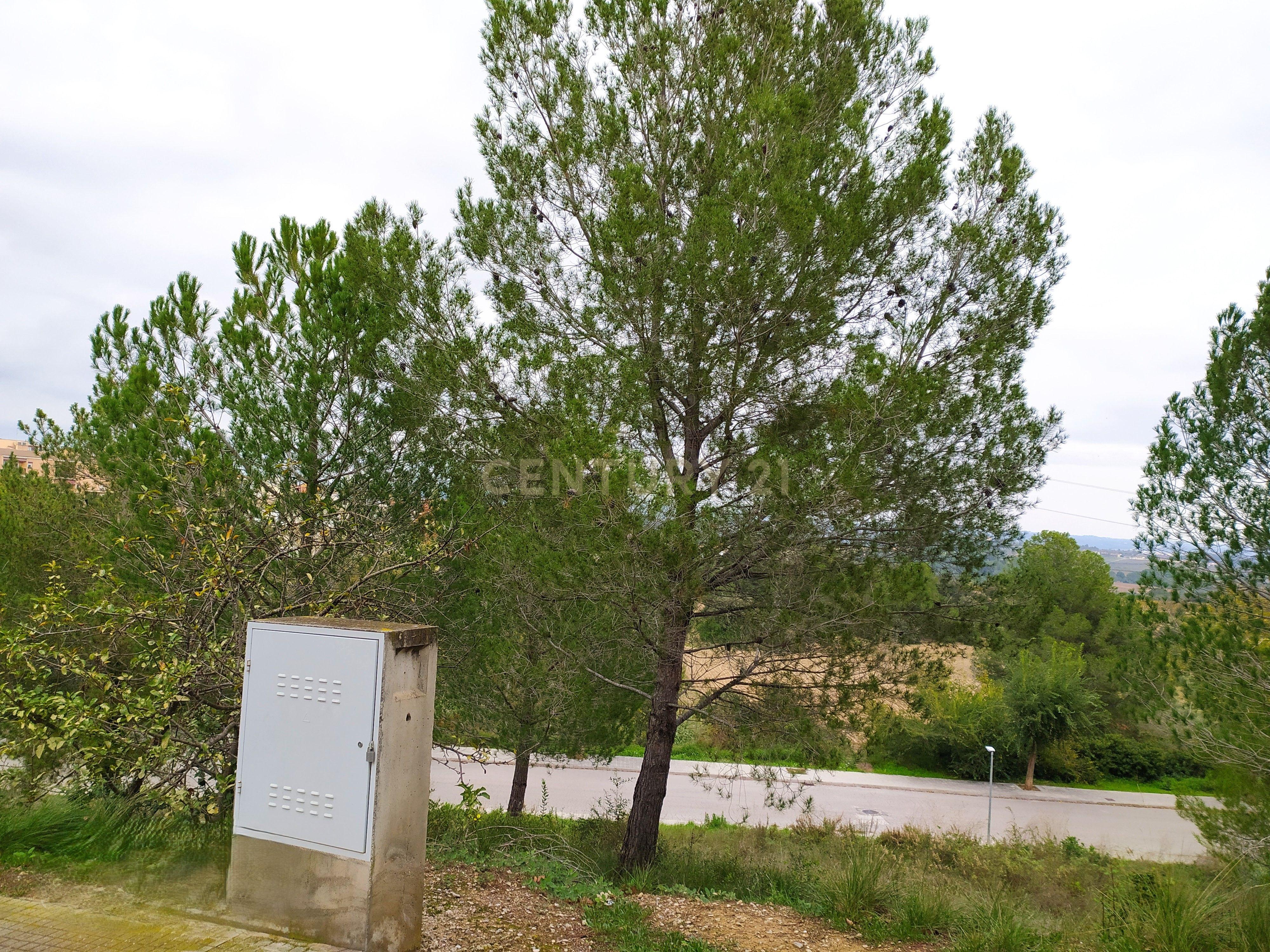 undefined - Image 4