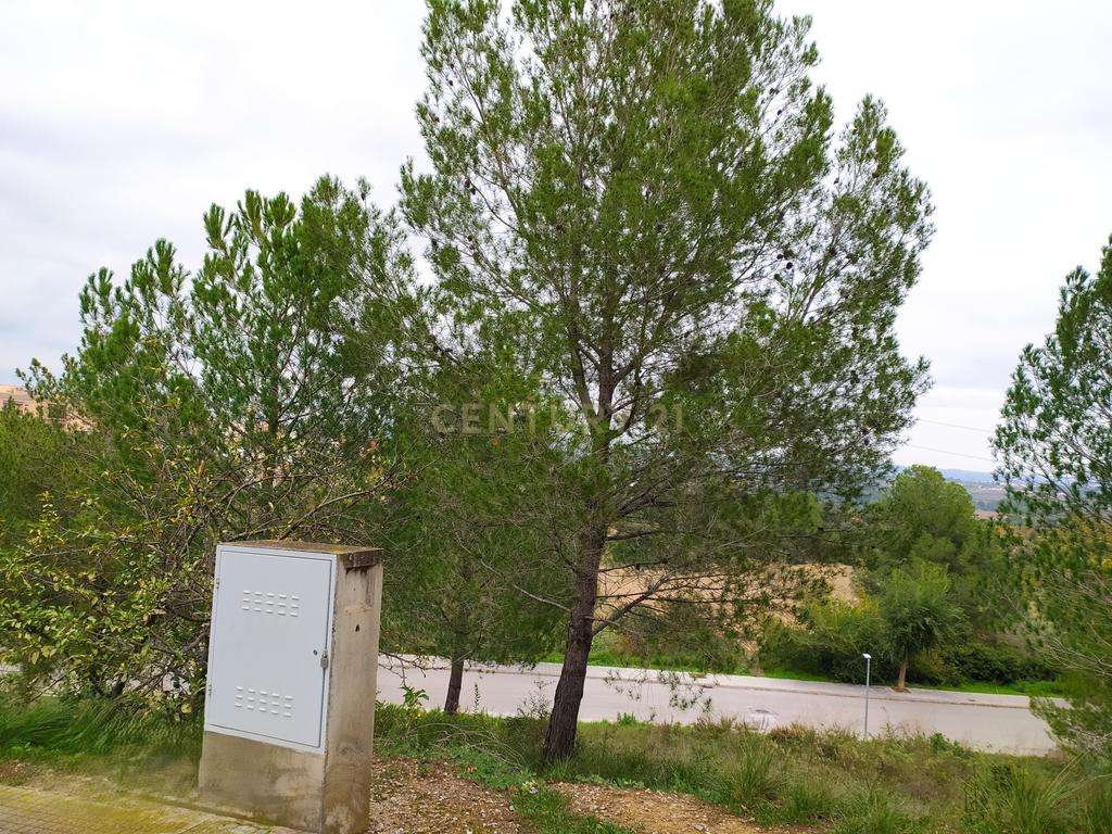 undefined - Image 4