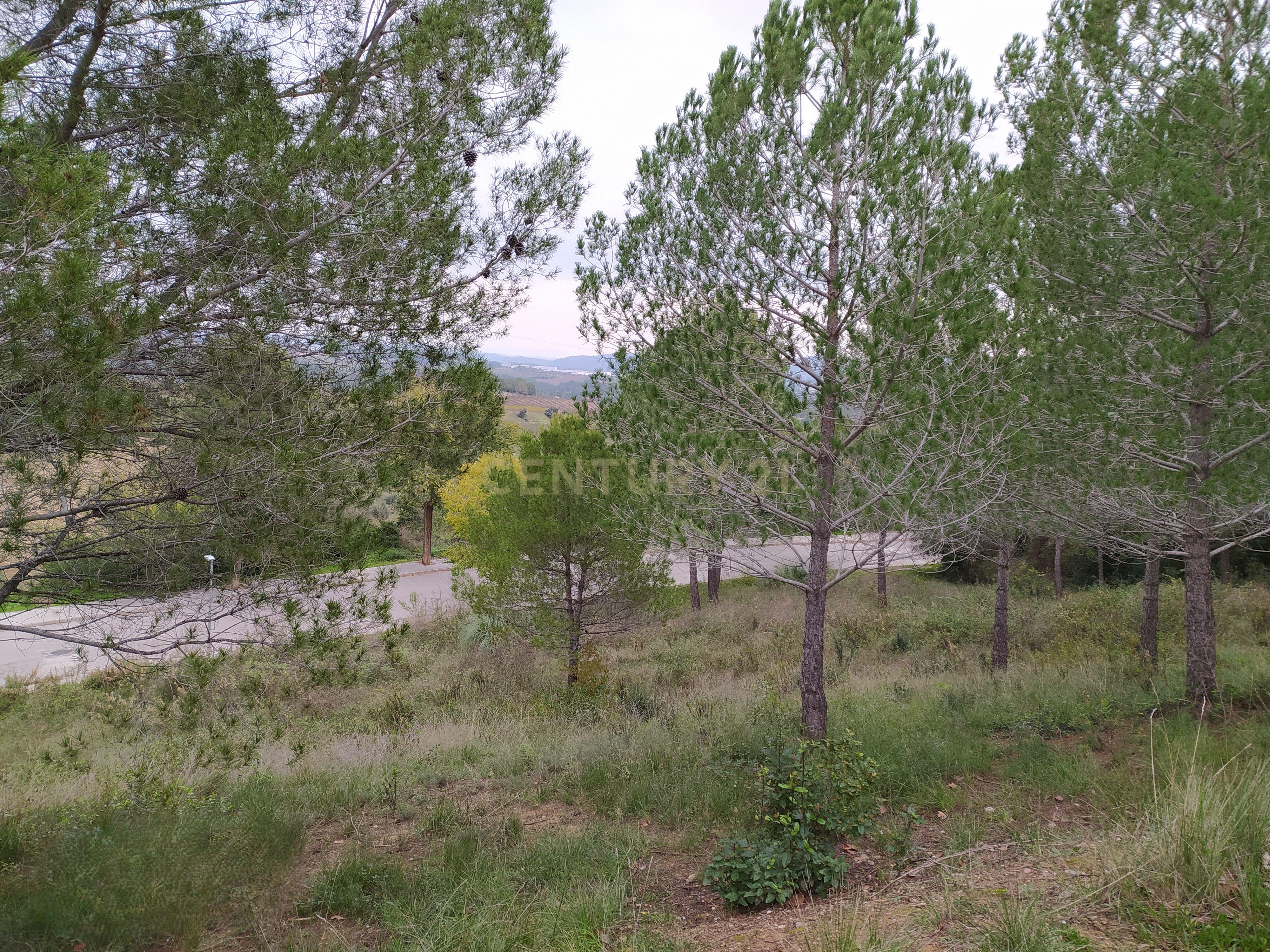 undefined - Image 5