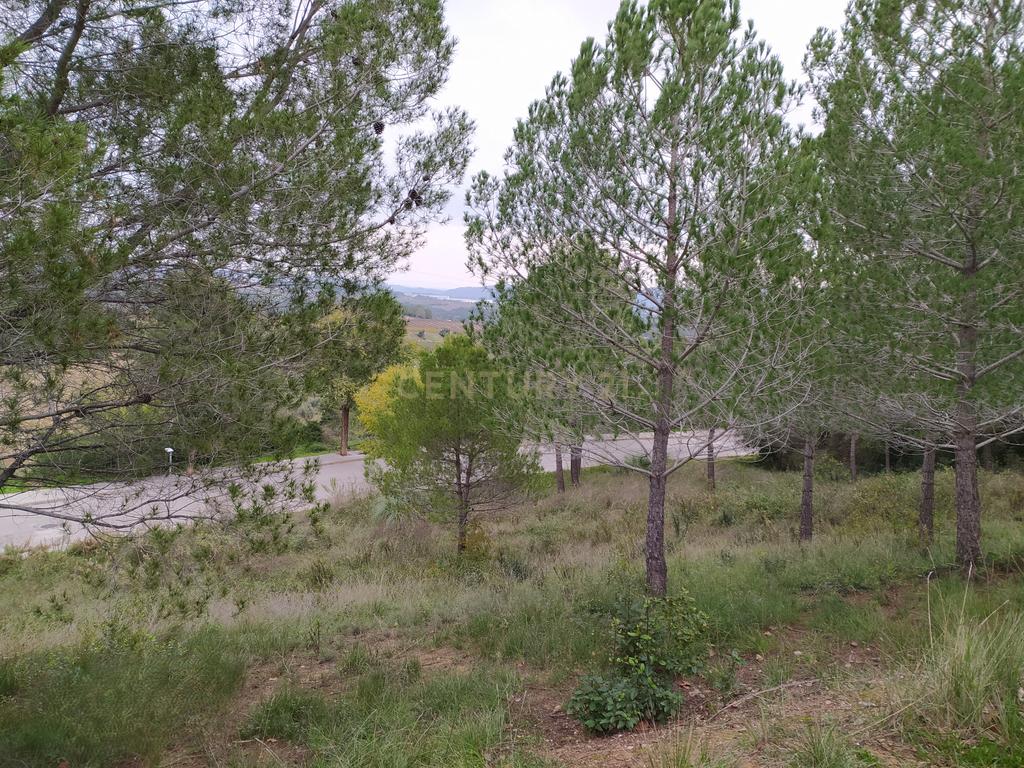 undefined - Image 5
