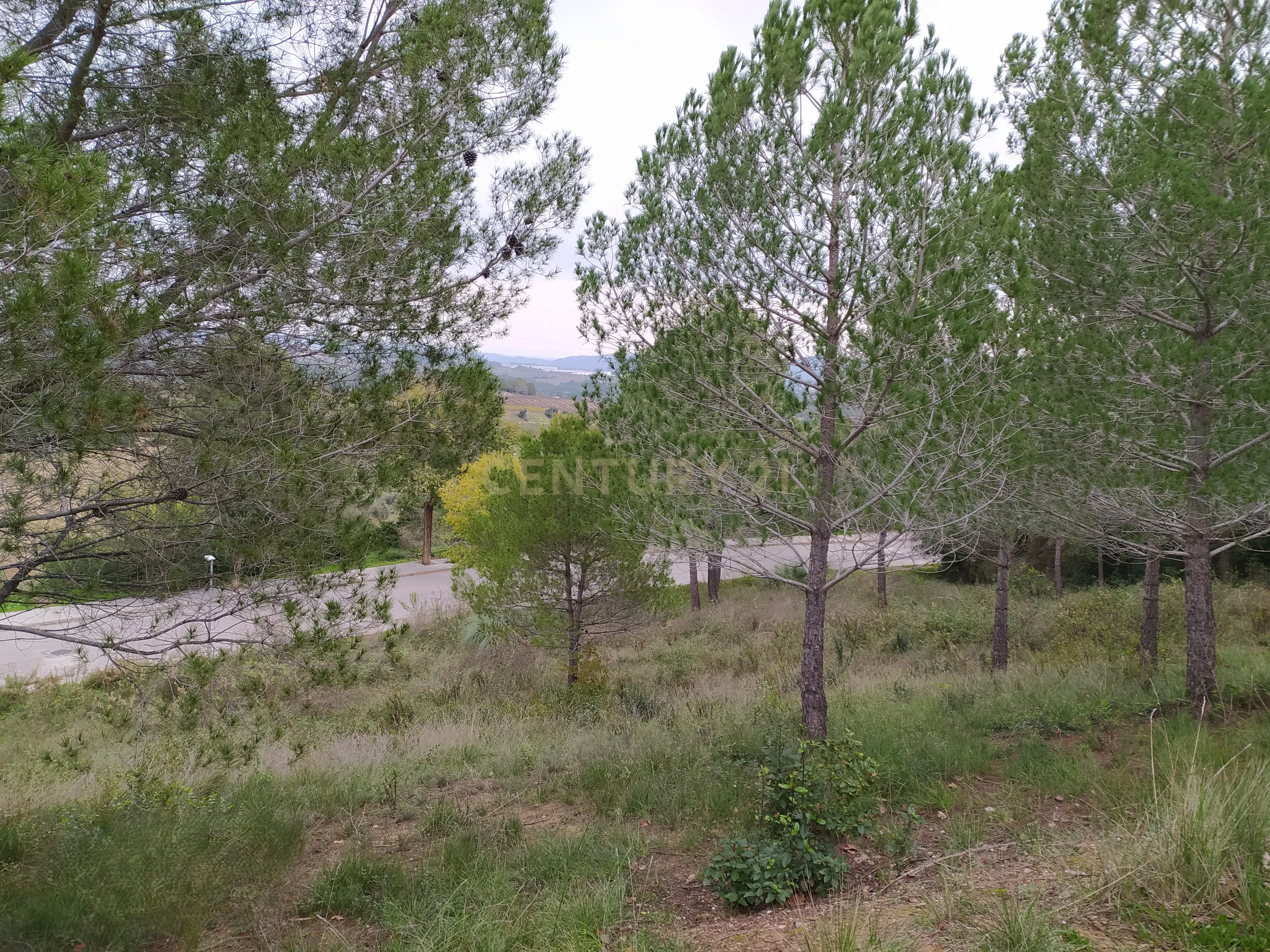 undefined - Image 5