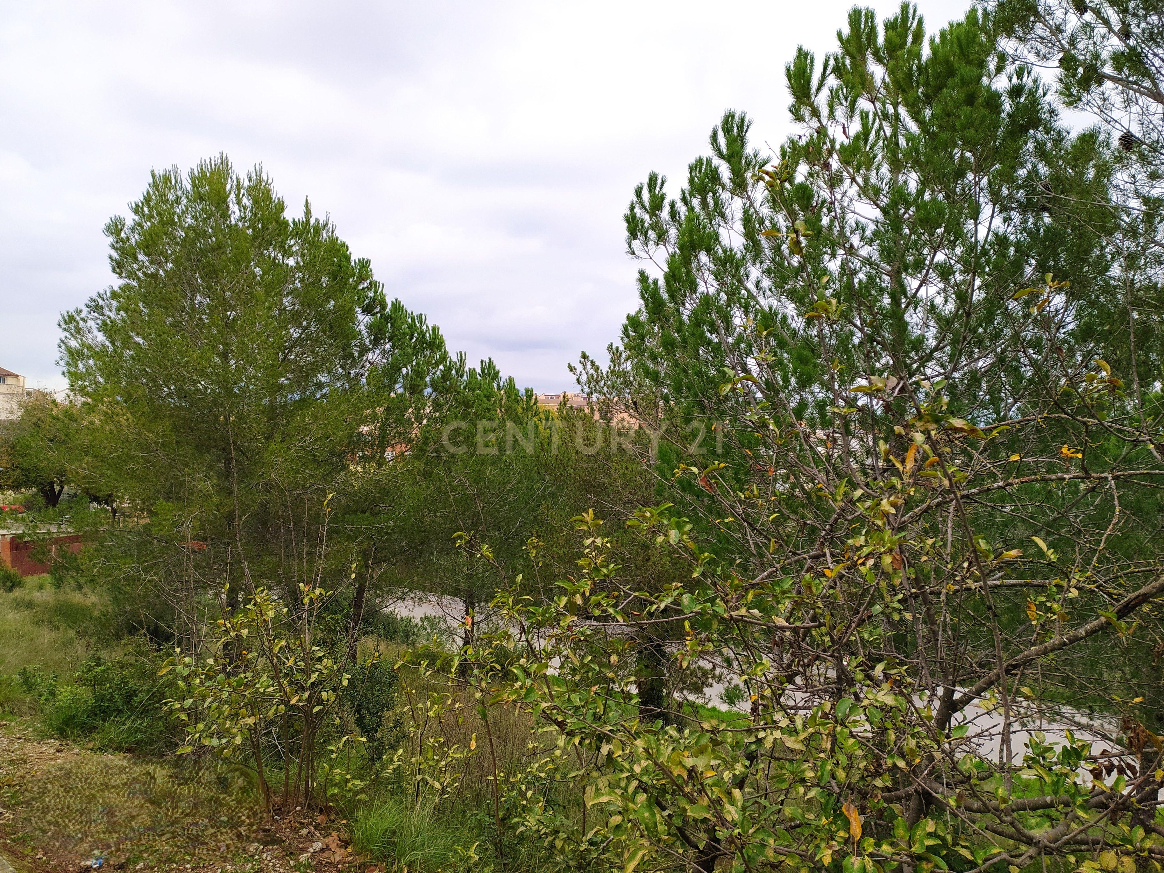 undefined - Image 6