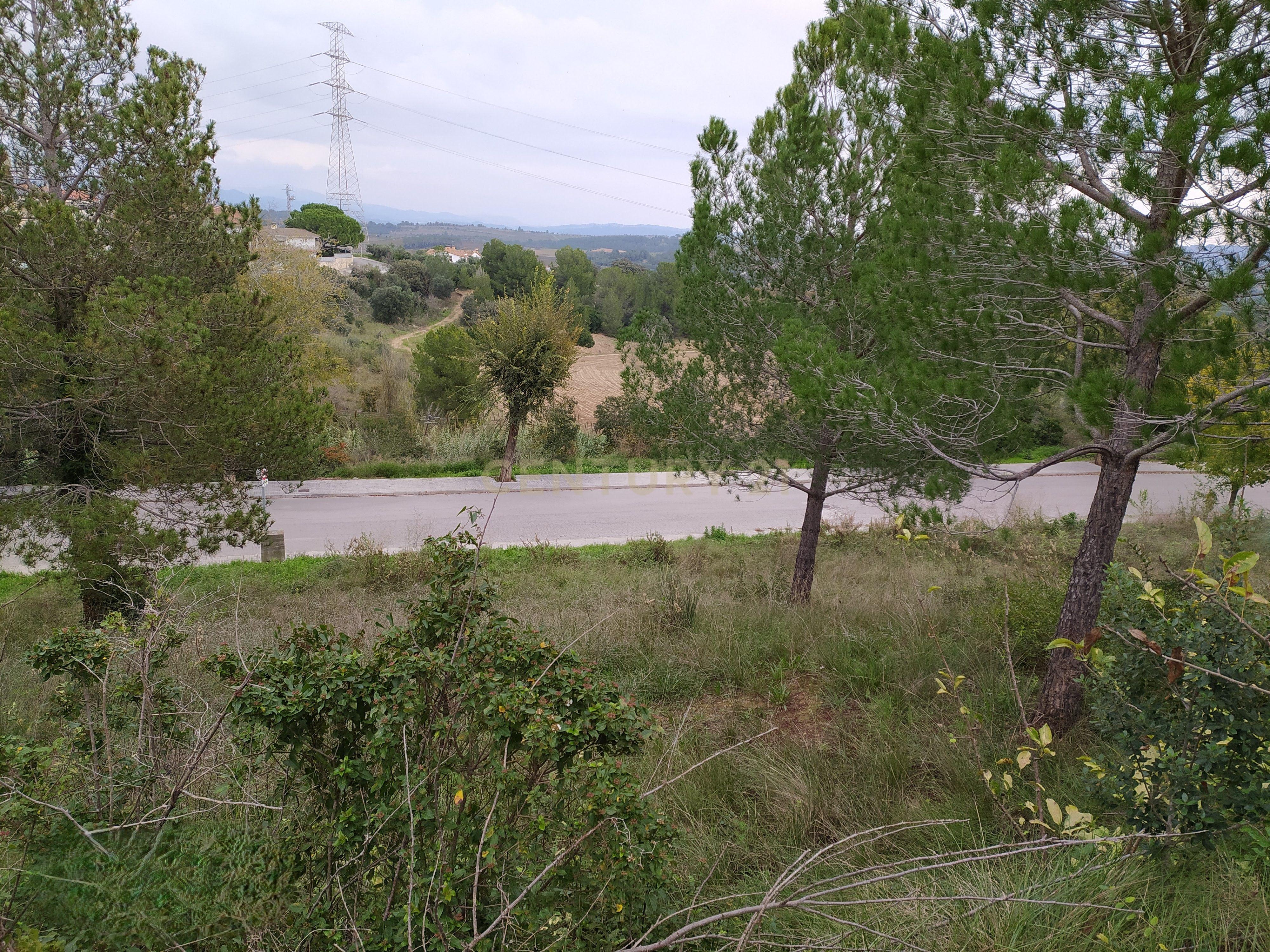 undefined - Image 7