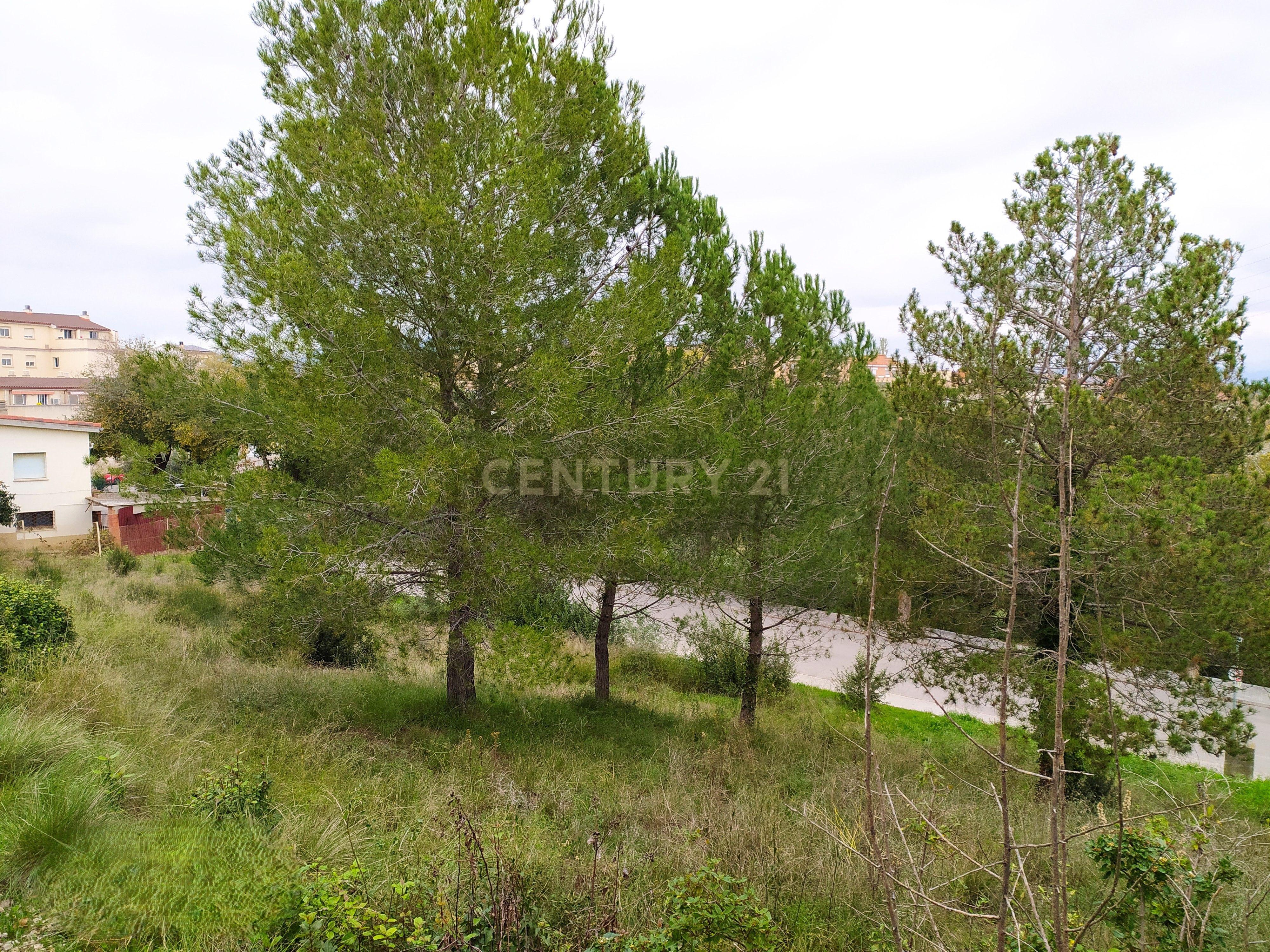 undefined - Image 8