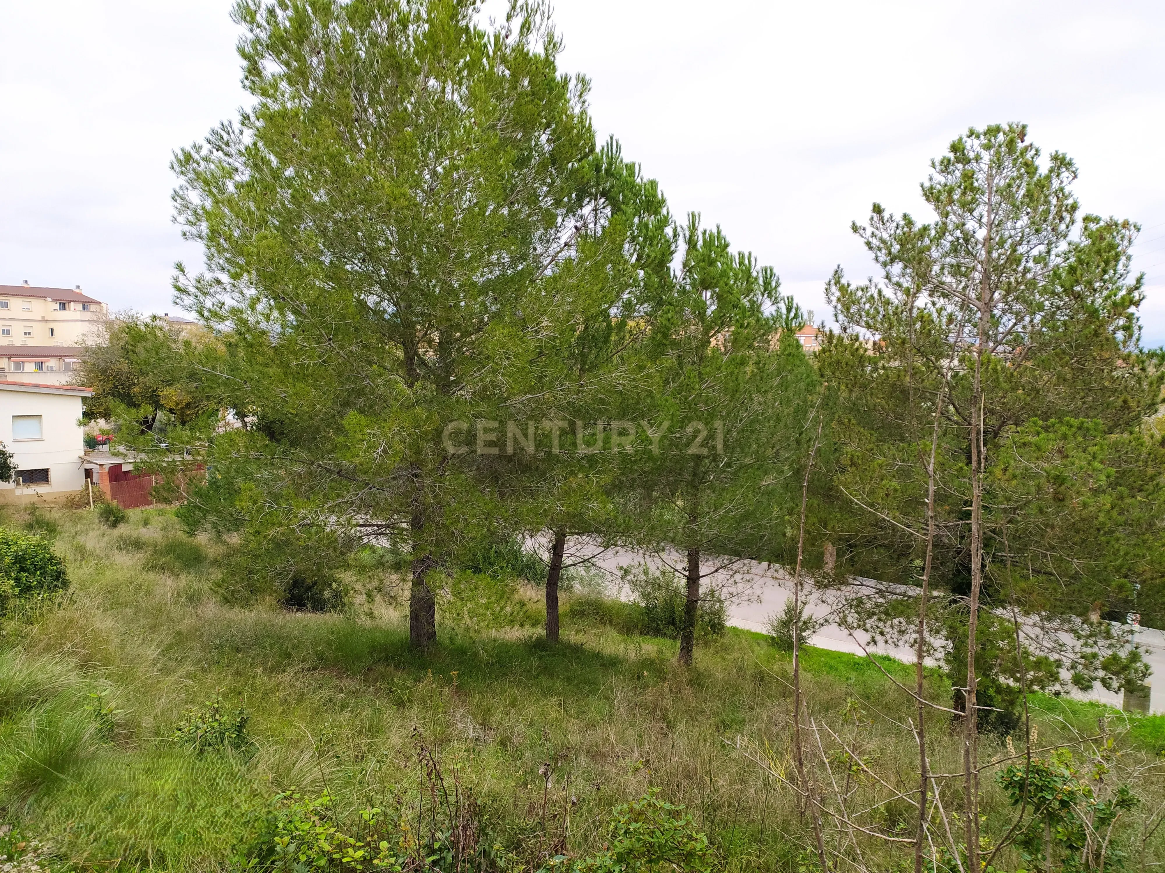 undefined - Image 21