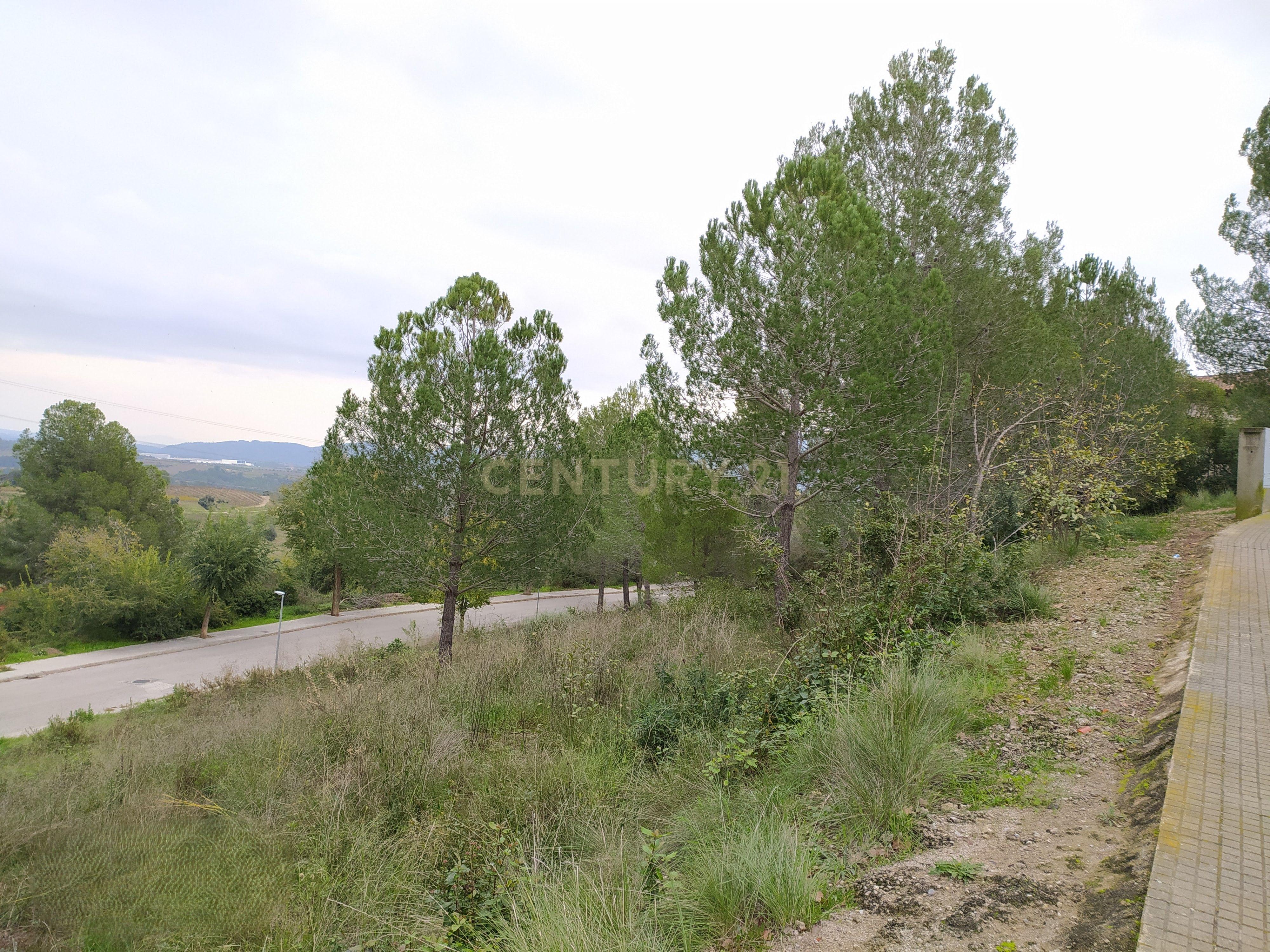 undefined - Image 9