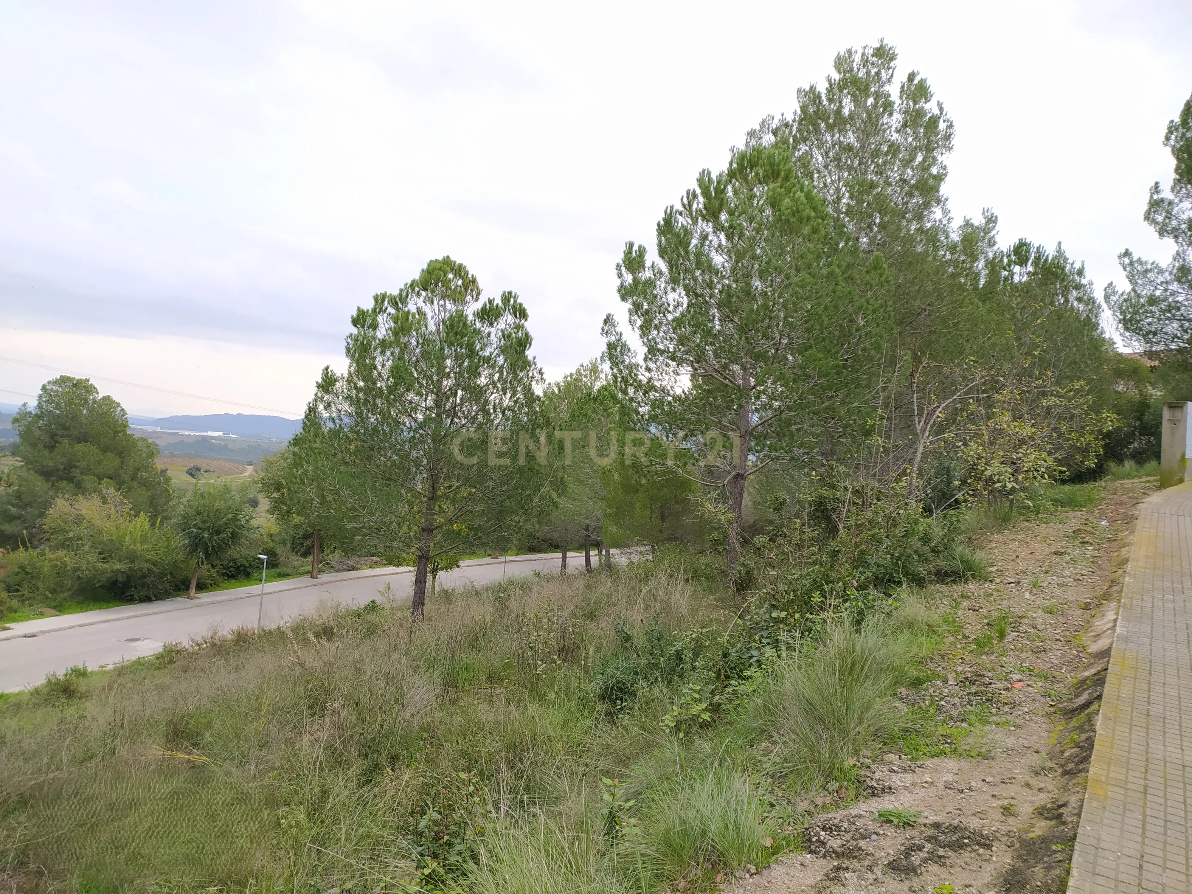 undefined - Image 2