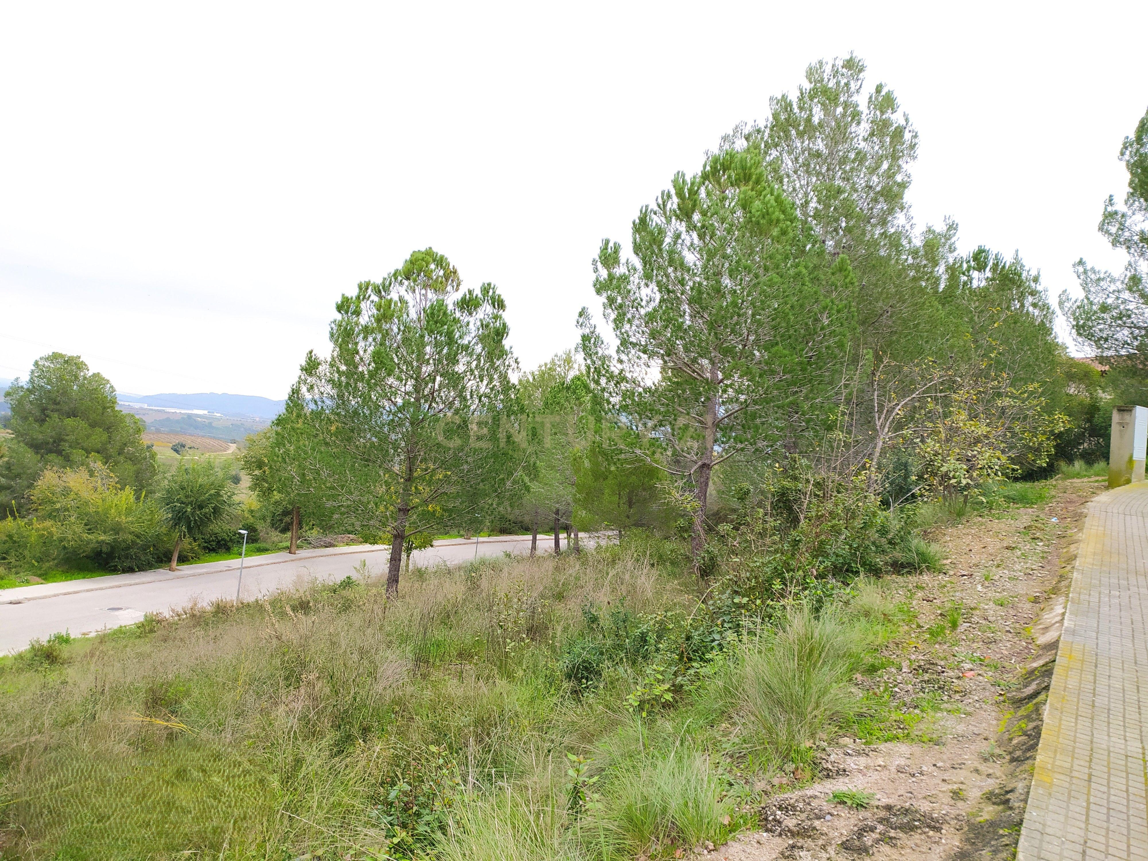 undefined - Image 10