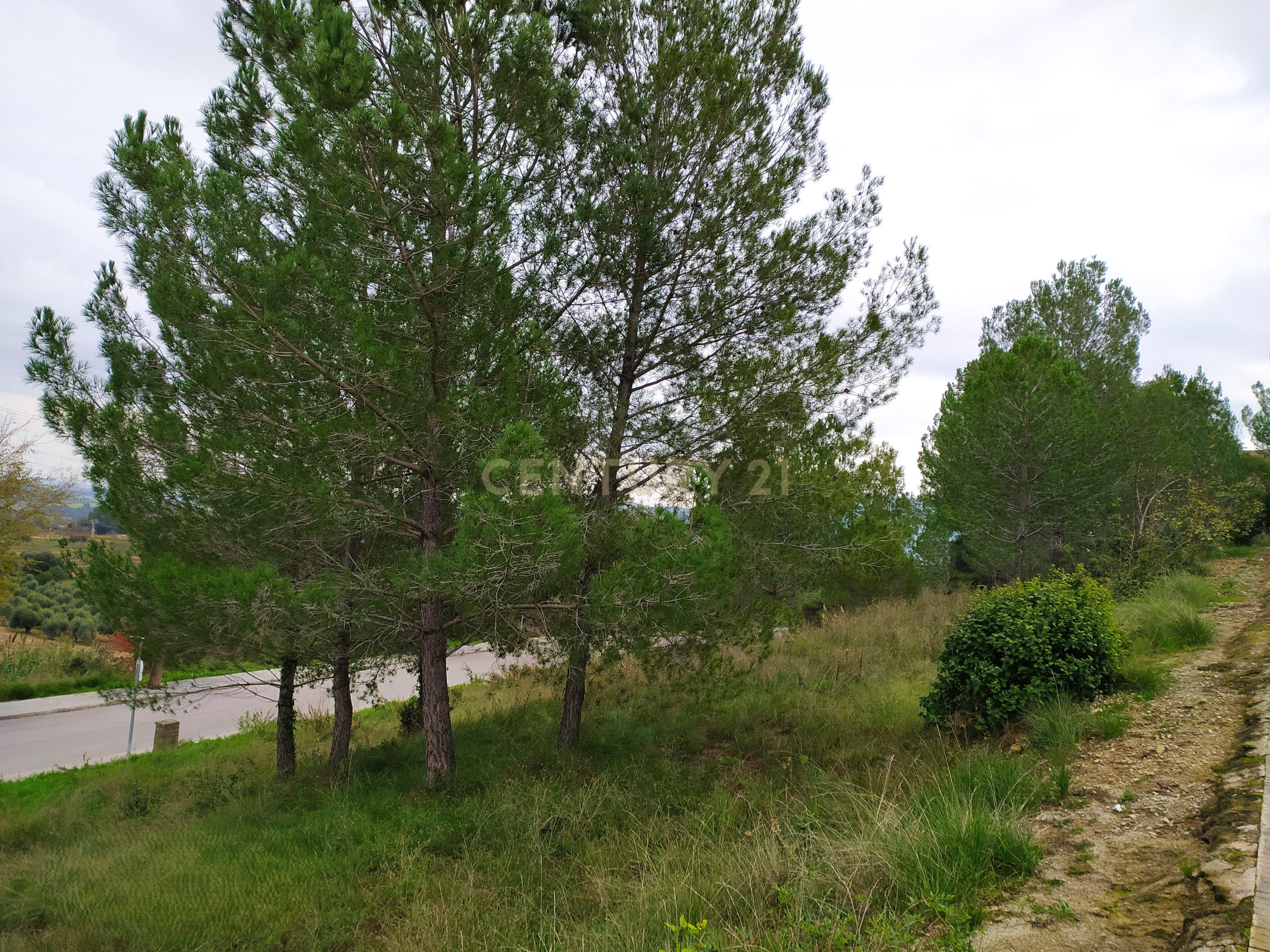 undefined - Image 11