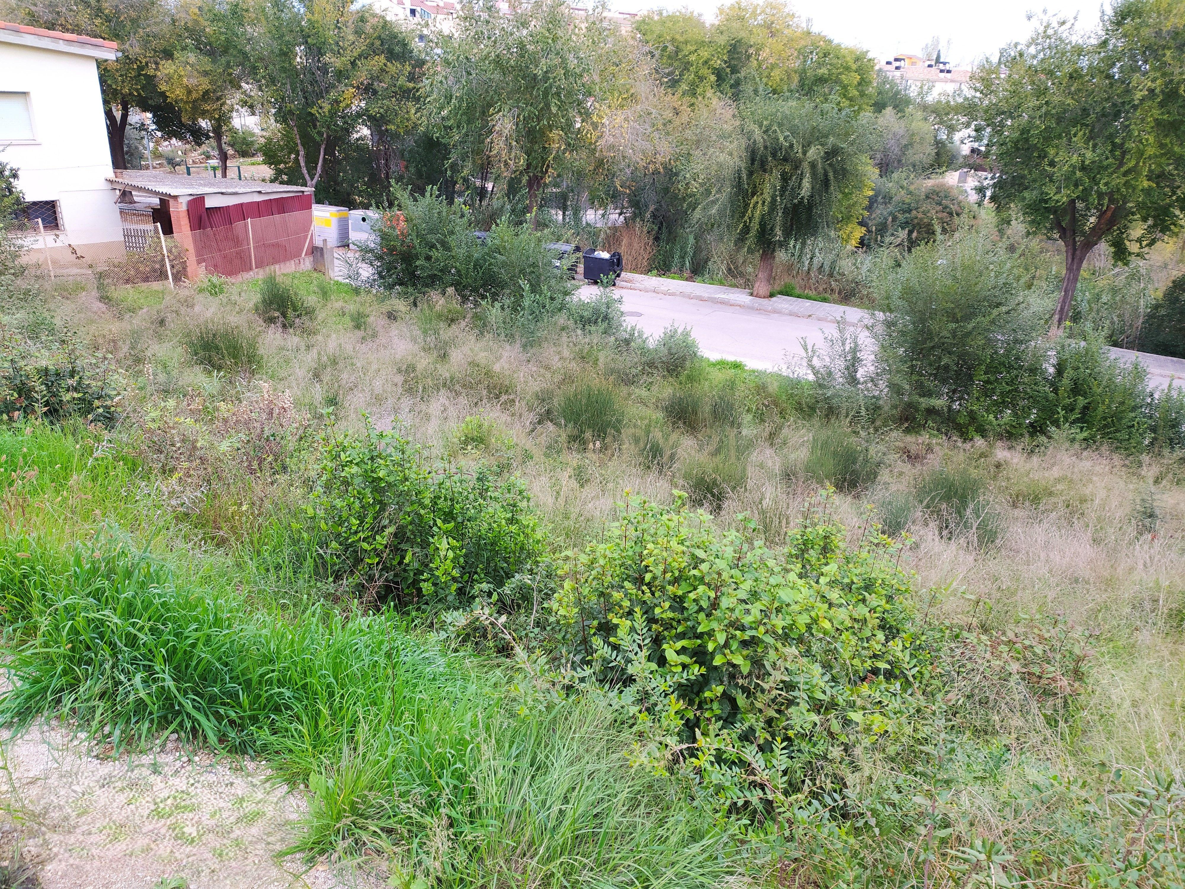 undefined - Image 14