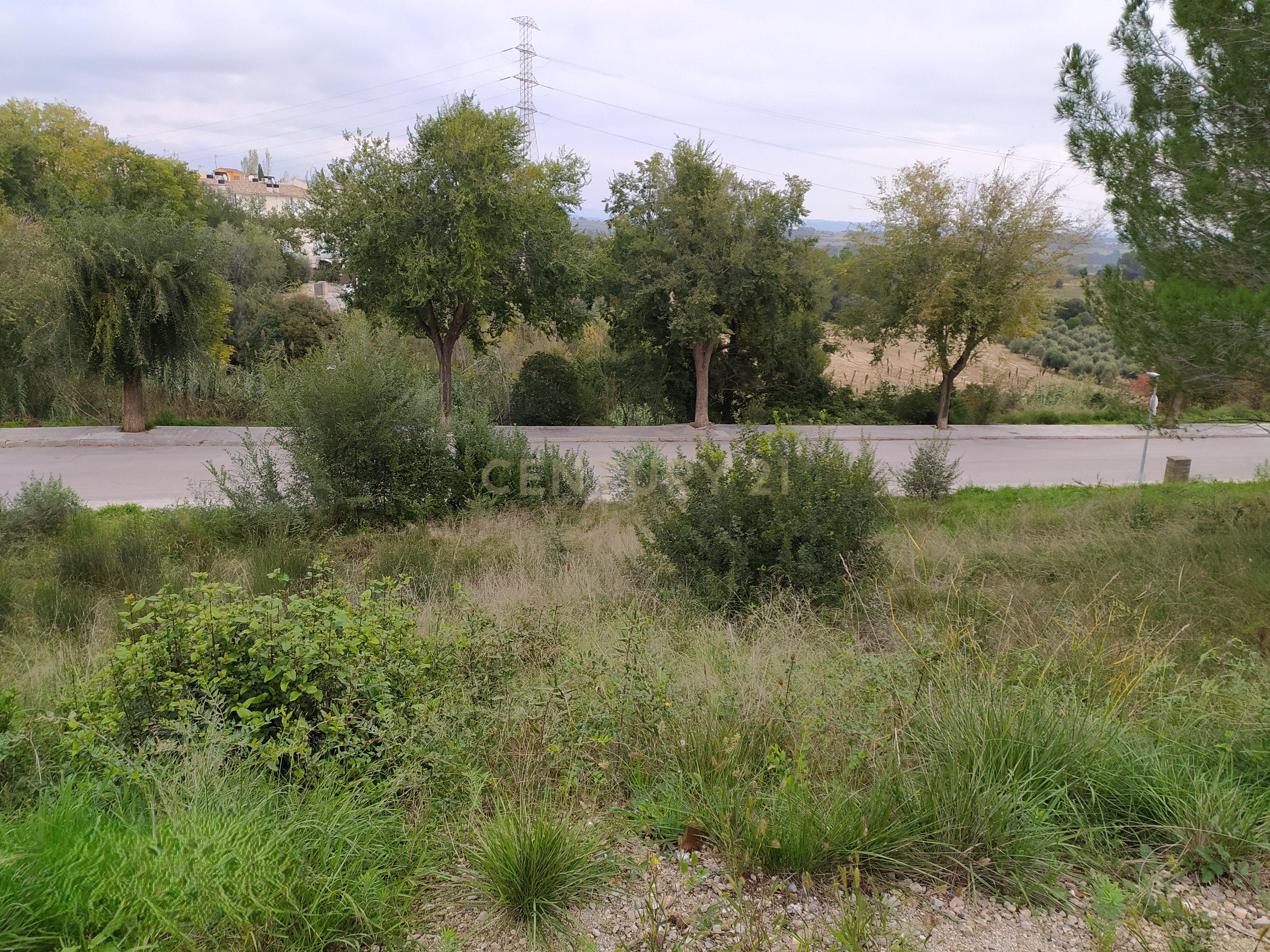 undefined - Image 12