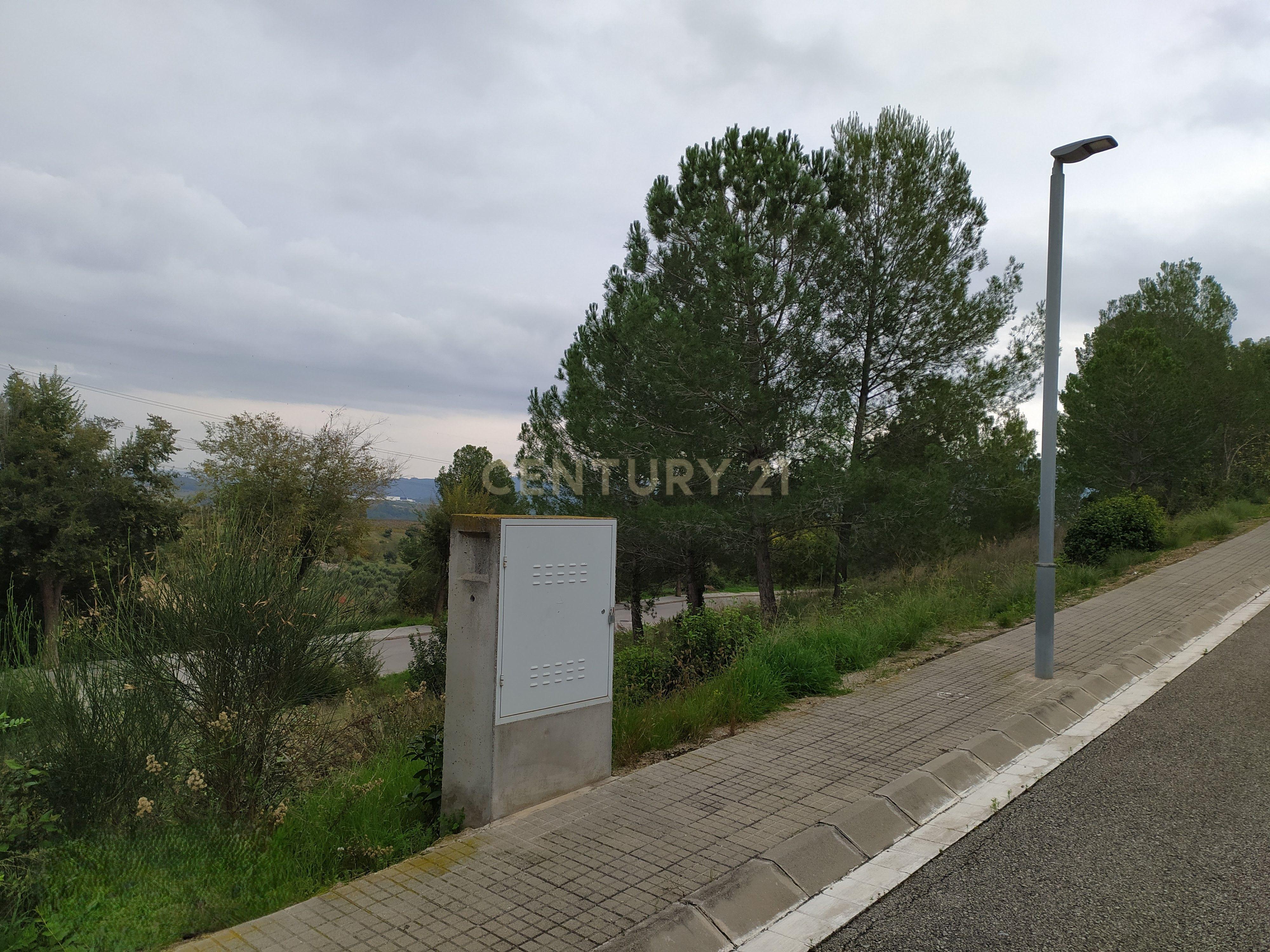 undefined - Image 13