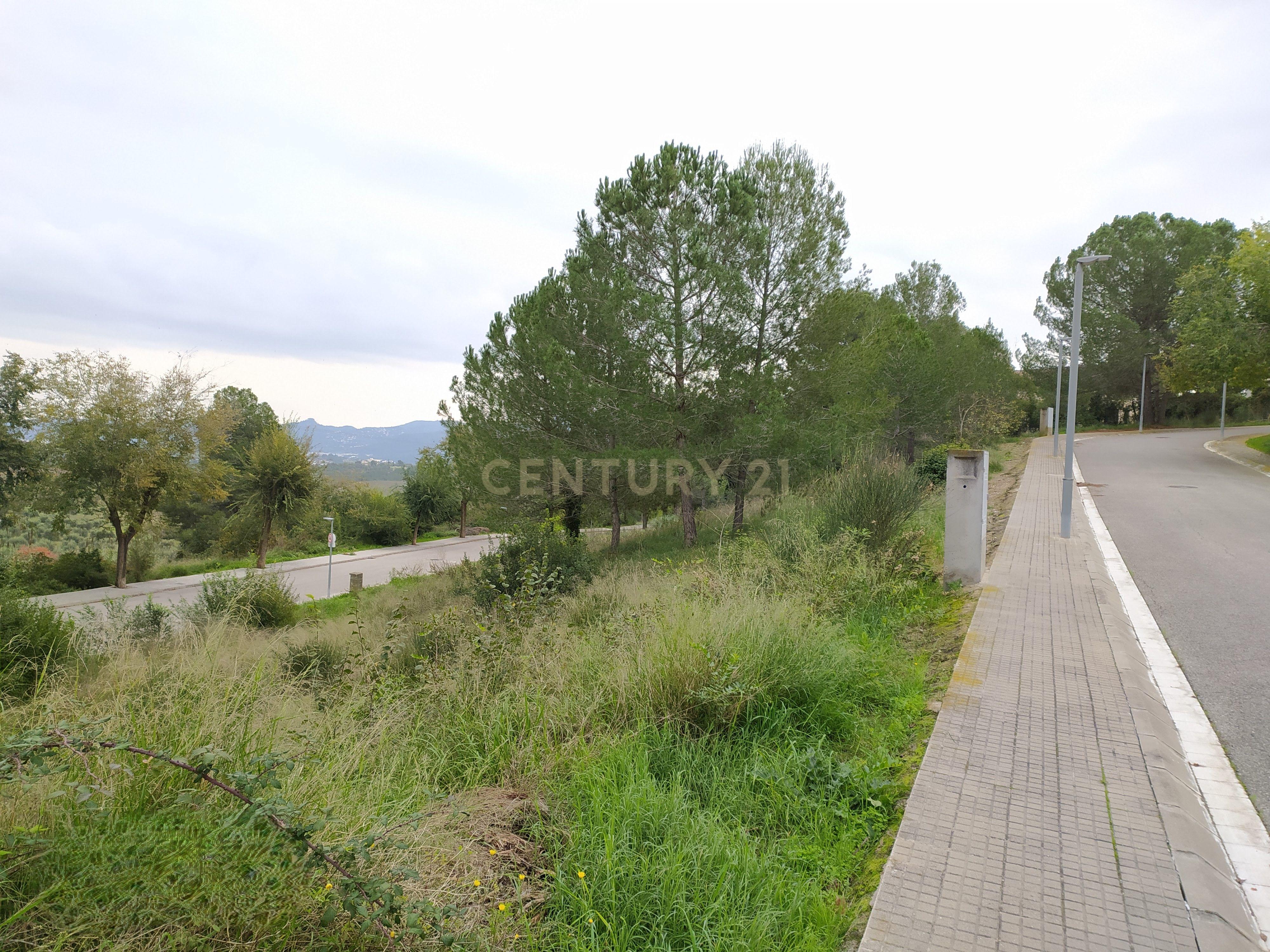 undefined - Image 25