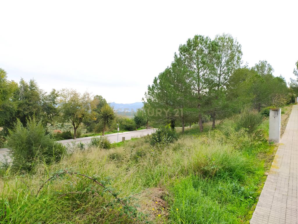 undefined - Image 19