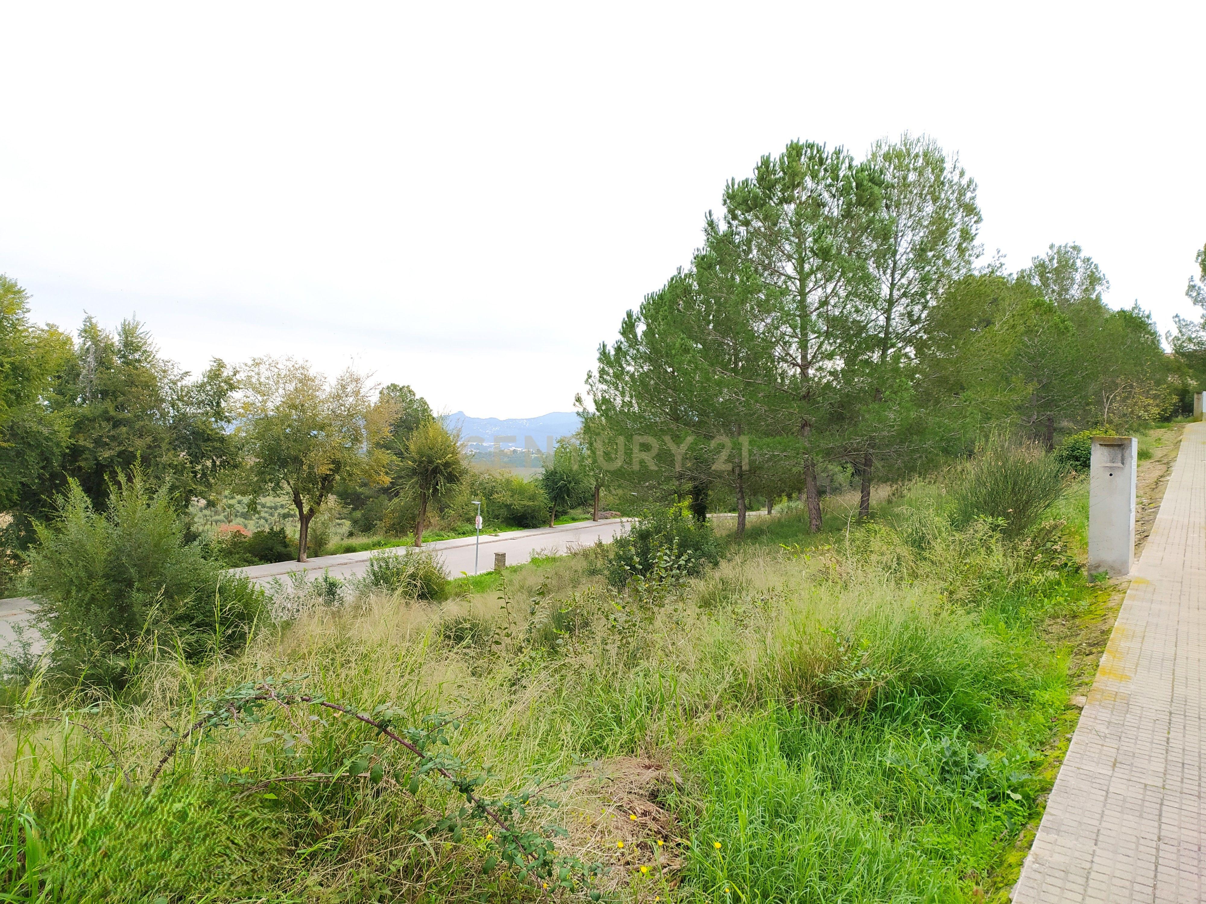undefined - Image 16